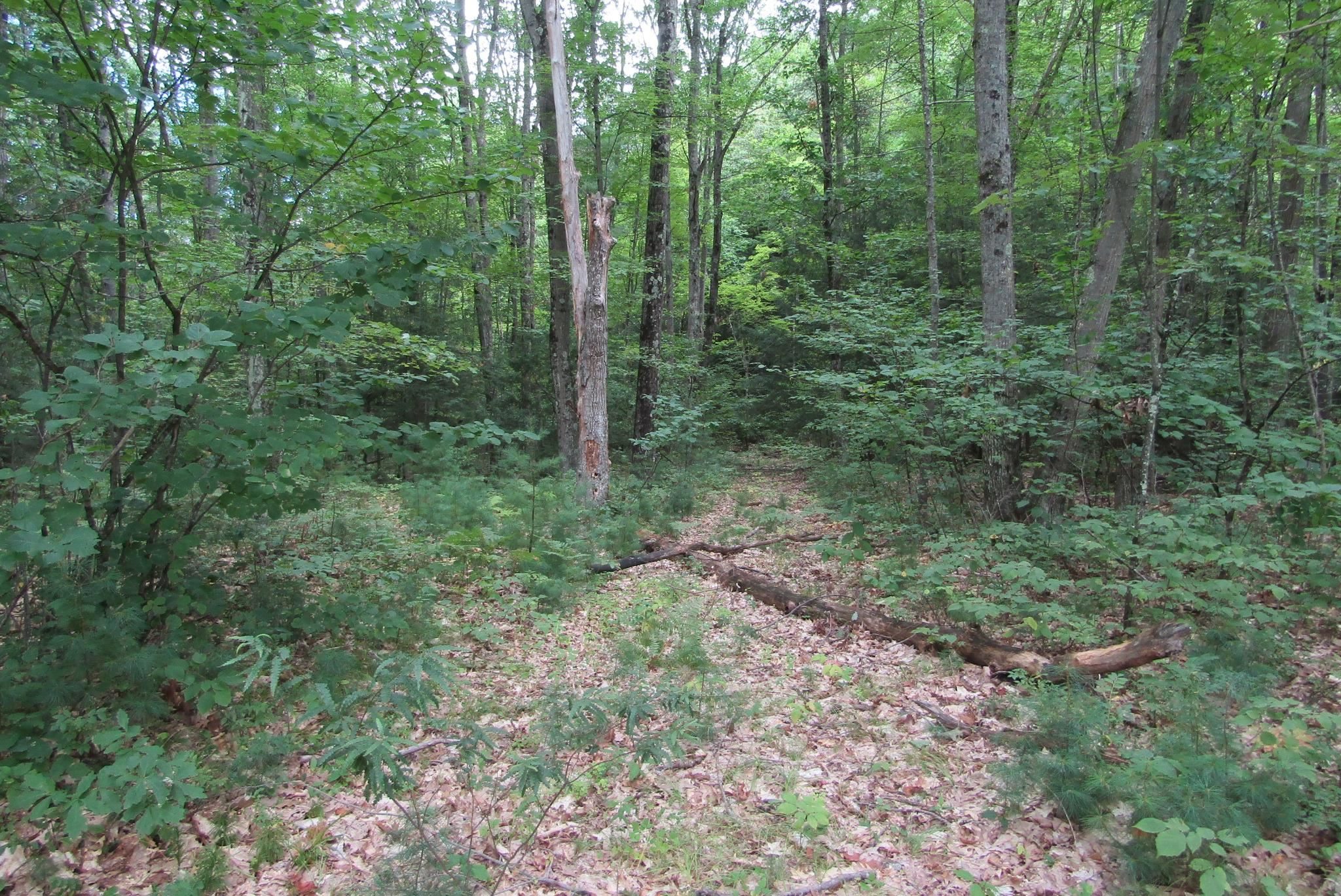 00 Mill Street Property Photo 1