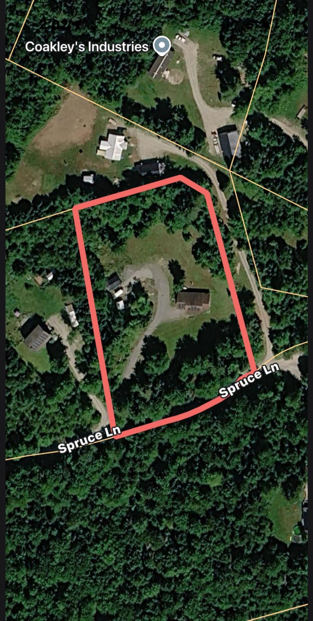 317 Spruce Lane Property Photo 3