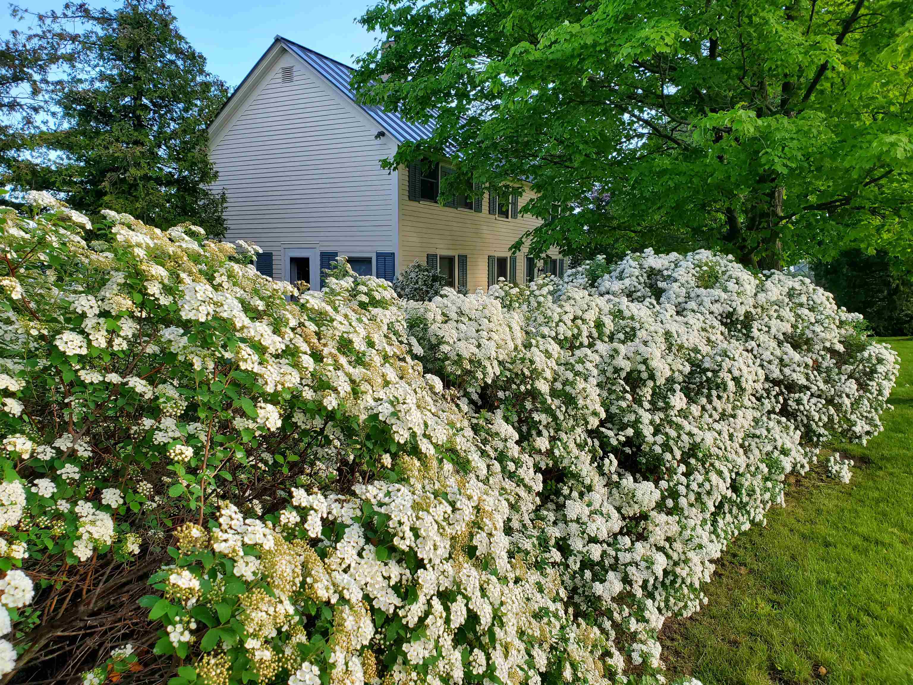 255 West Shore Road Property Photo 9