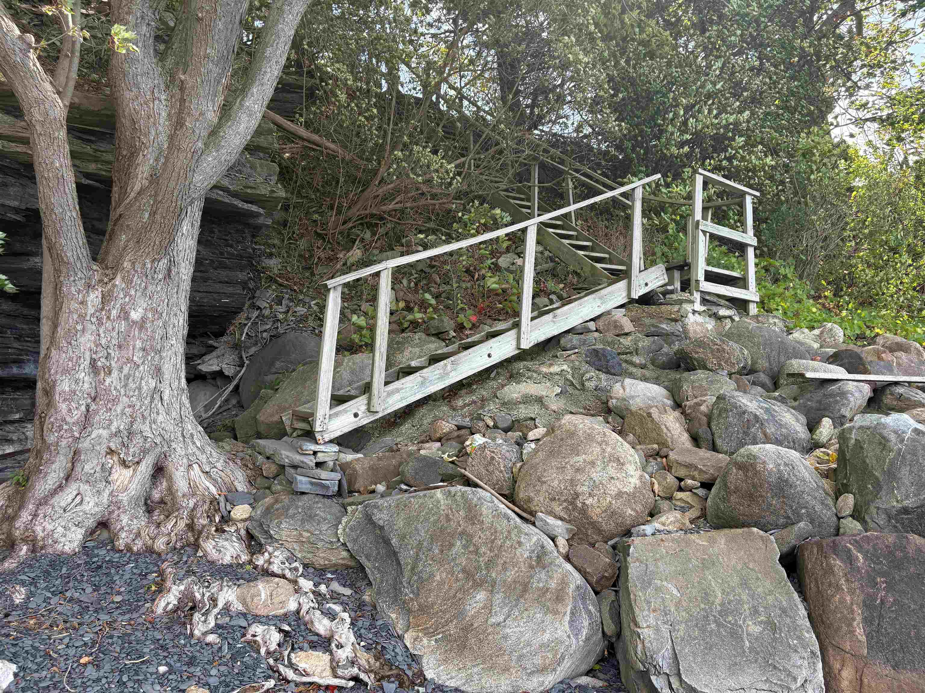 255 West Shore Road Property Photo 54