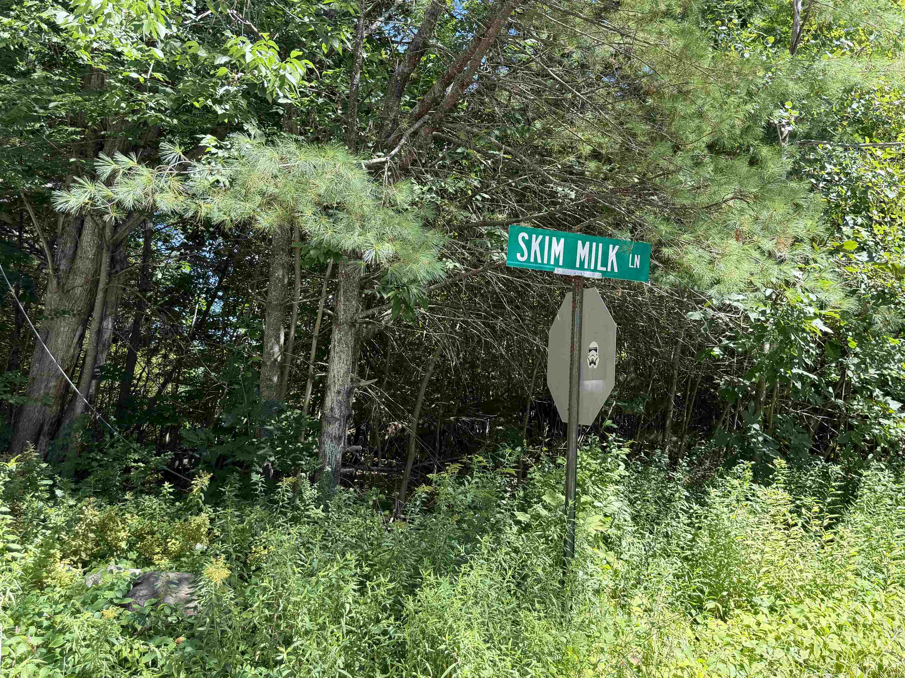 16 Skim Milk Lane Property Photo 1