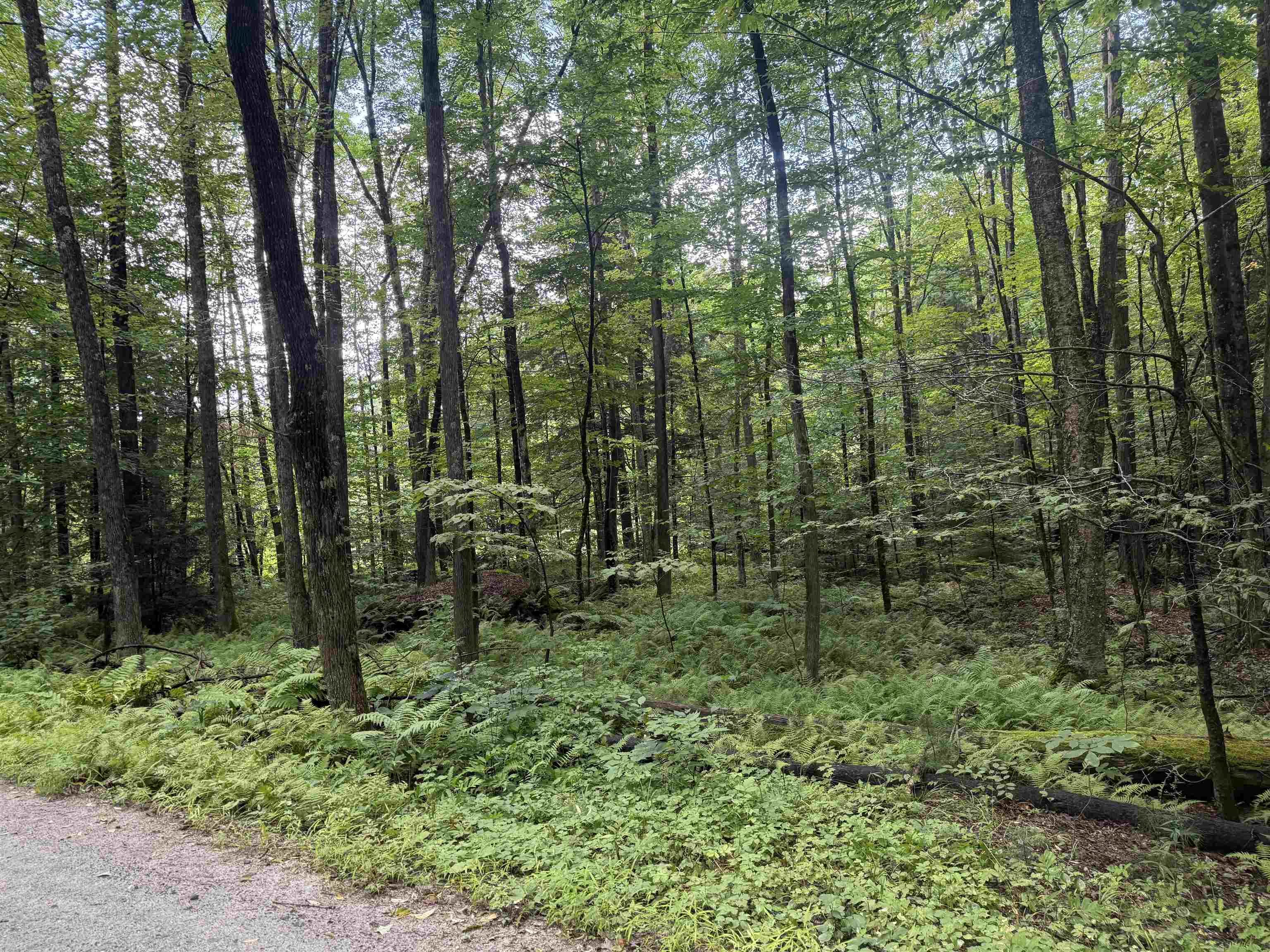 Anderson Road Property Photo 1