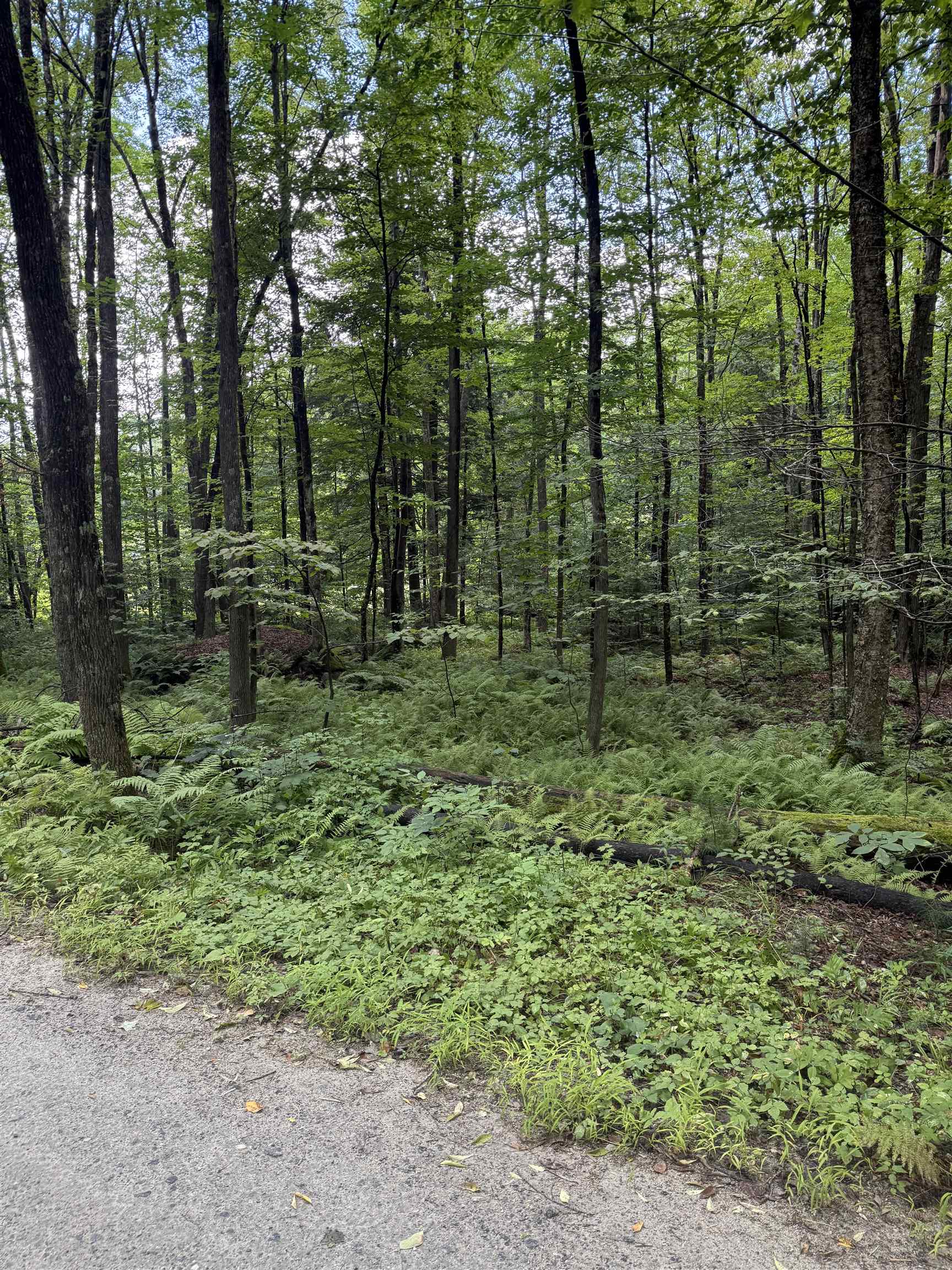 Anderson Road Property Photo 2