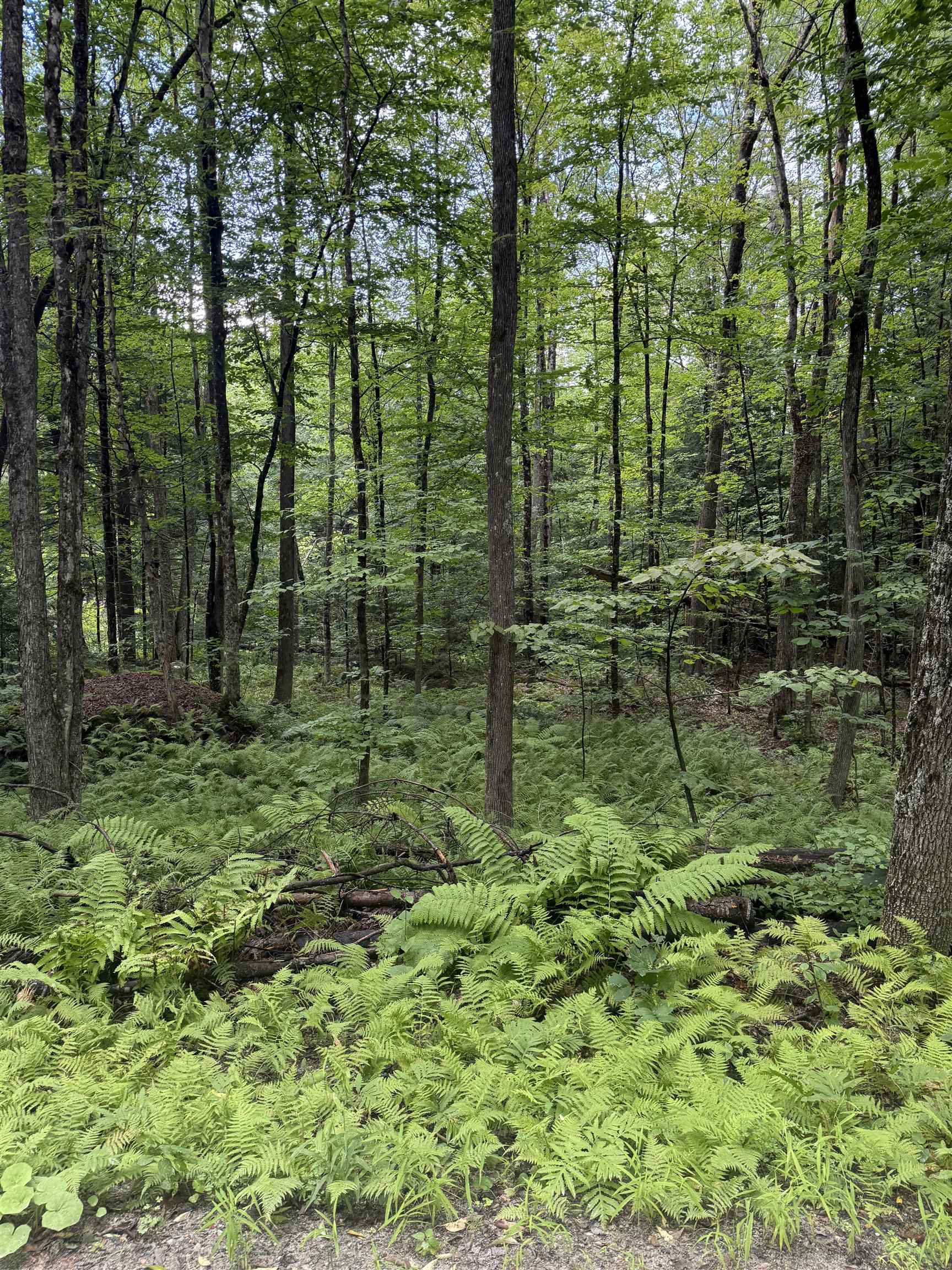 Anderson Road Property Photo 3