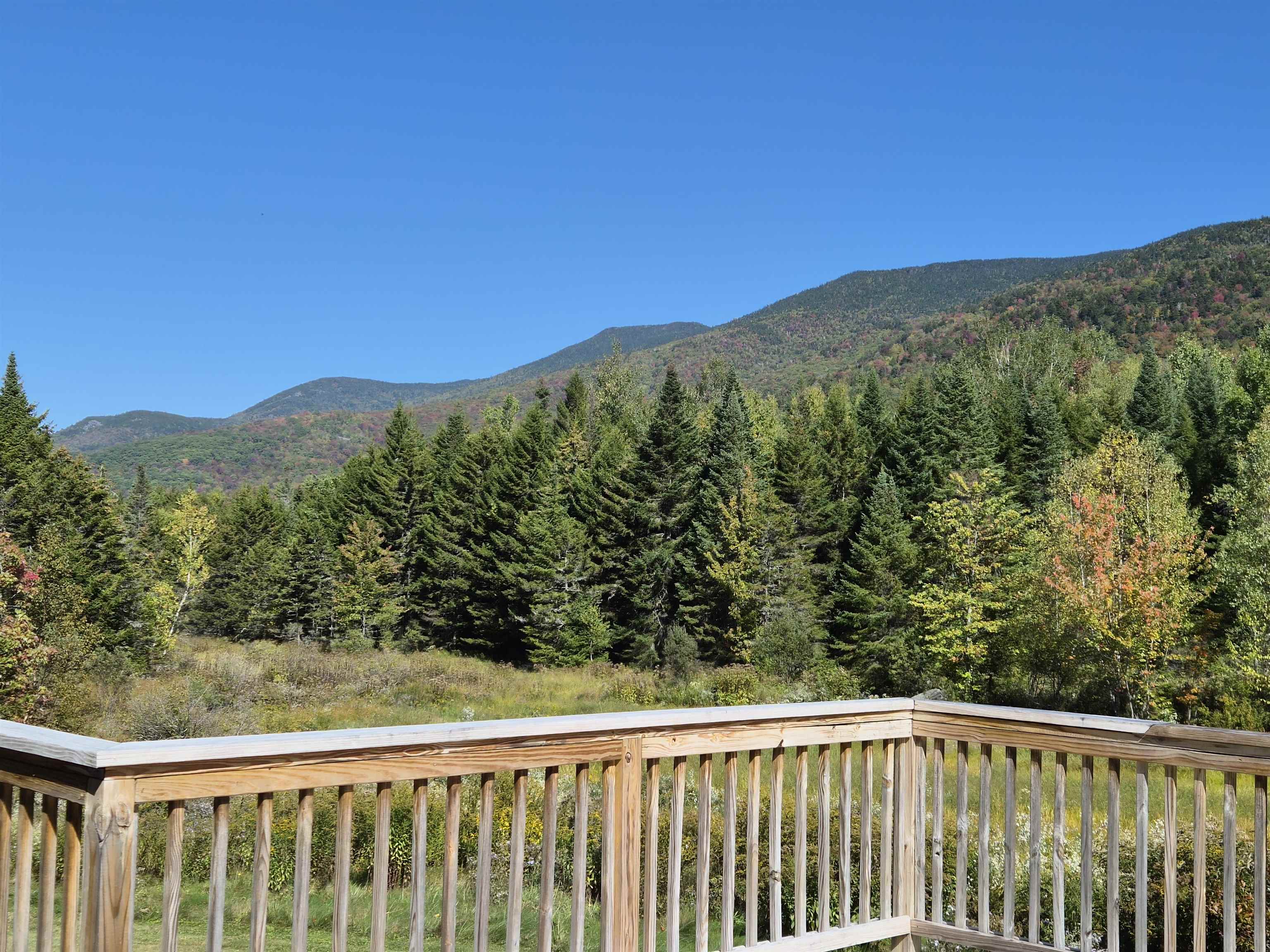 1576 Ripley Road Property Photo 41