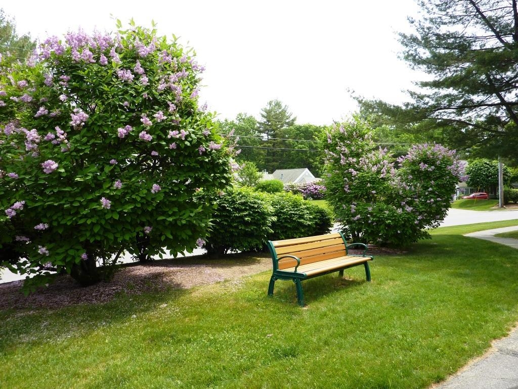 23 Aster Court Property Photo 44