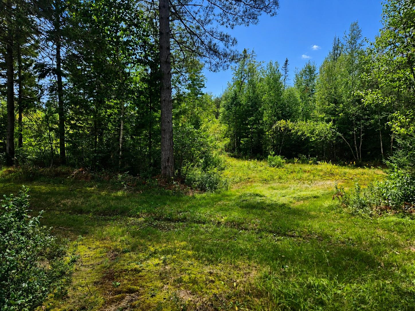 3790 Head Of The Pond Road Property Photo 29