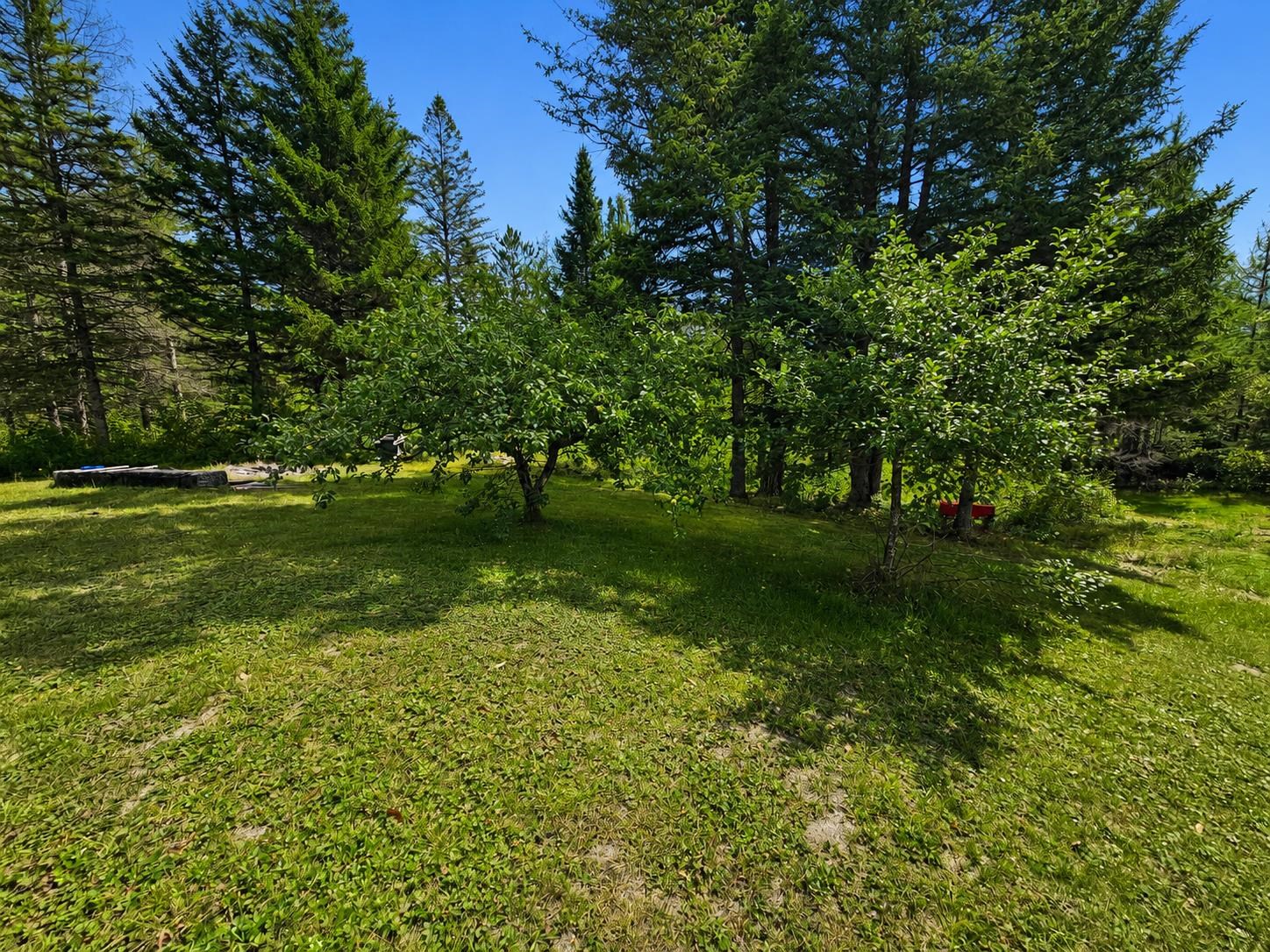 3790 Head Of The Pond Road Property Photo 31