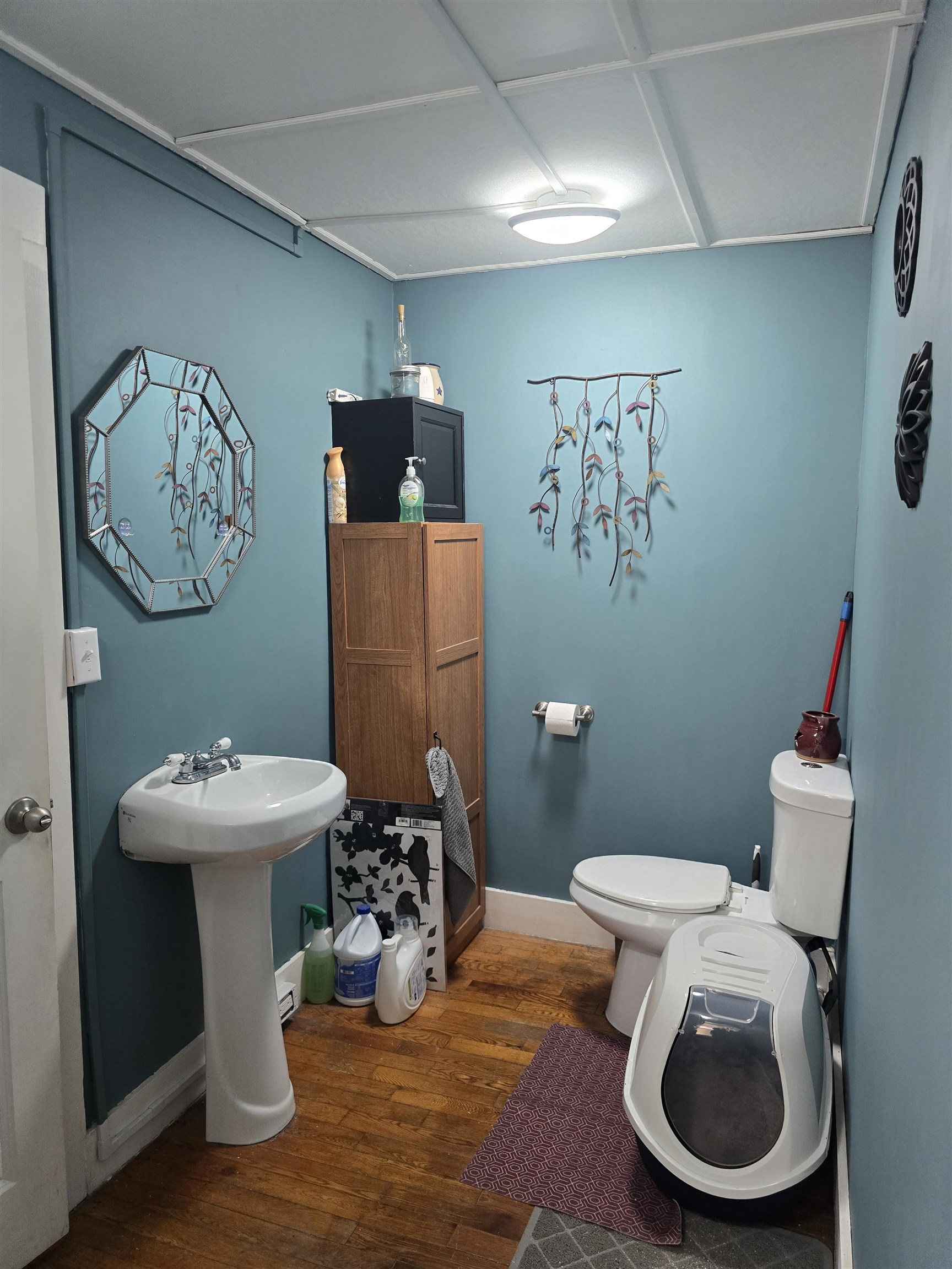 29 Woodland Street Property Photo 23