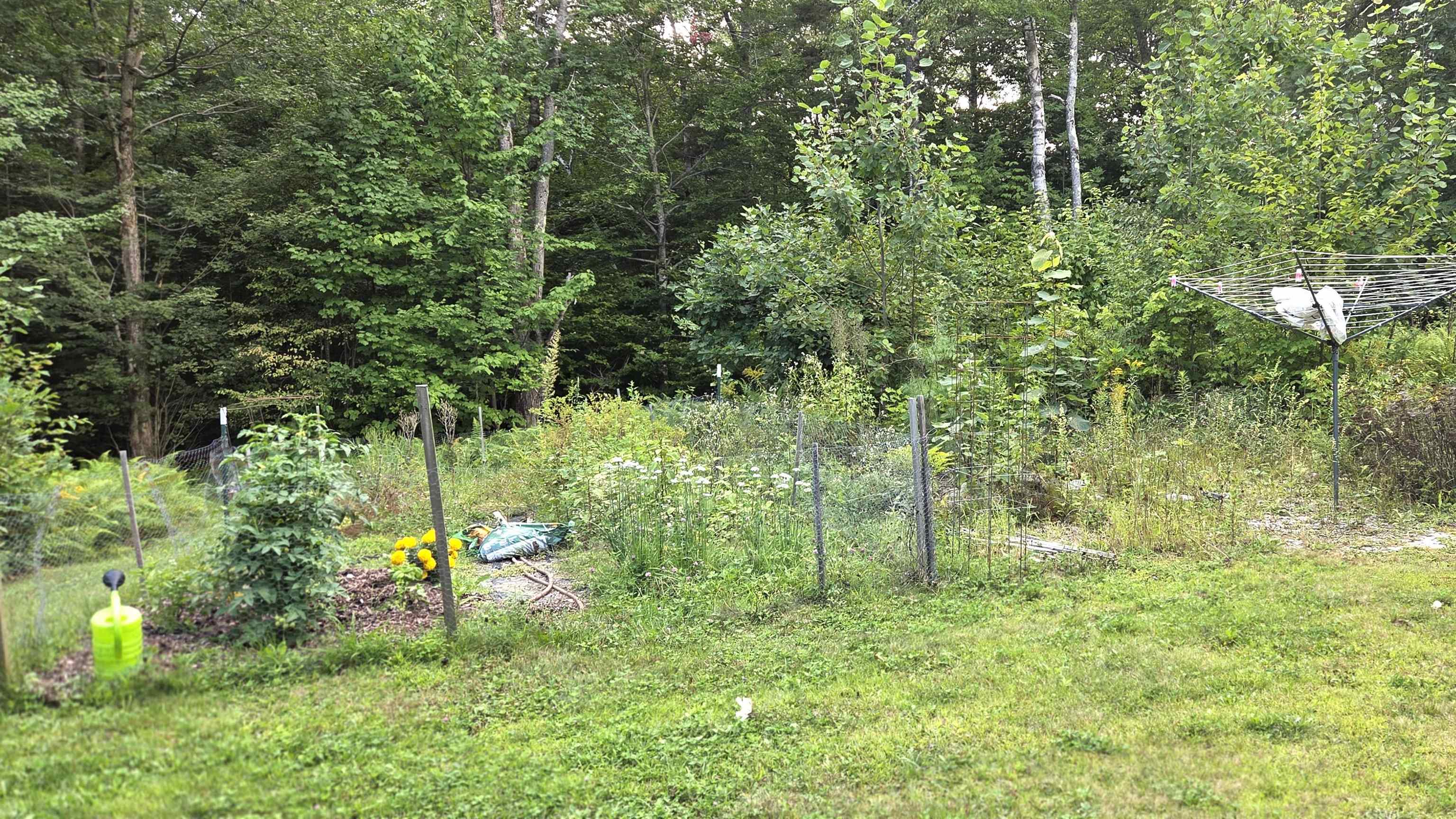 62 Heino Road Property Photo 26