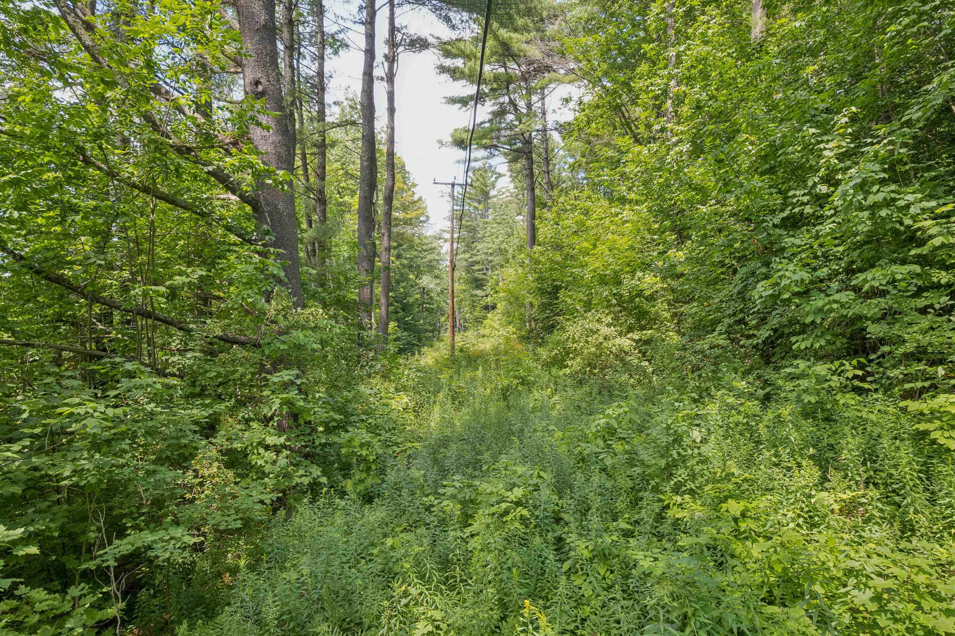 0 Vt Rte 12 Property Photo 6
