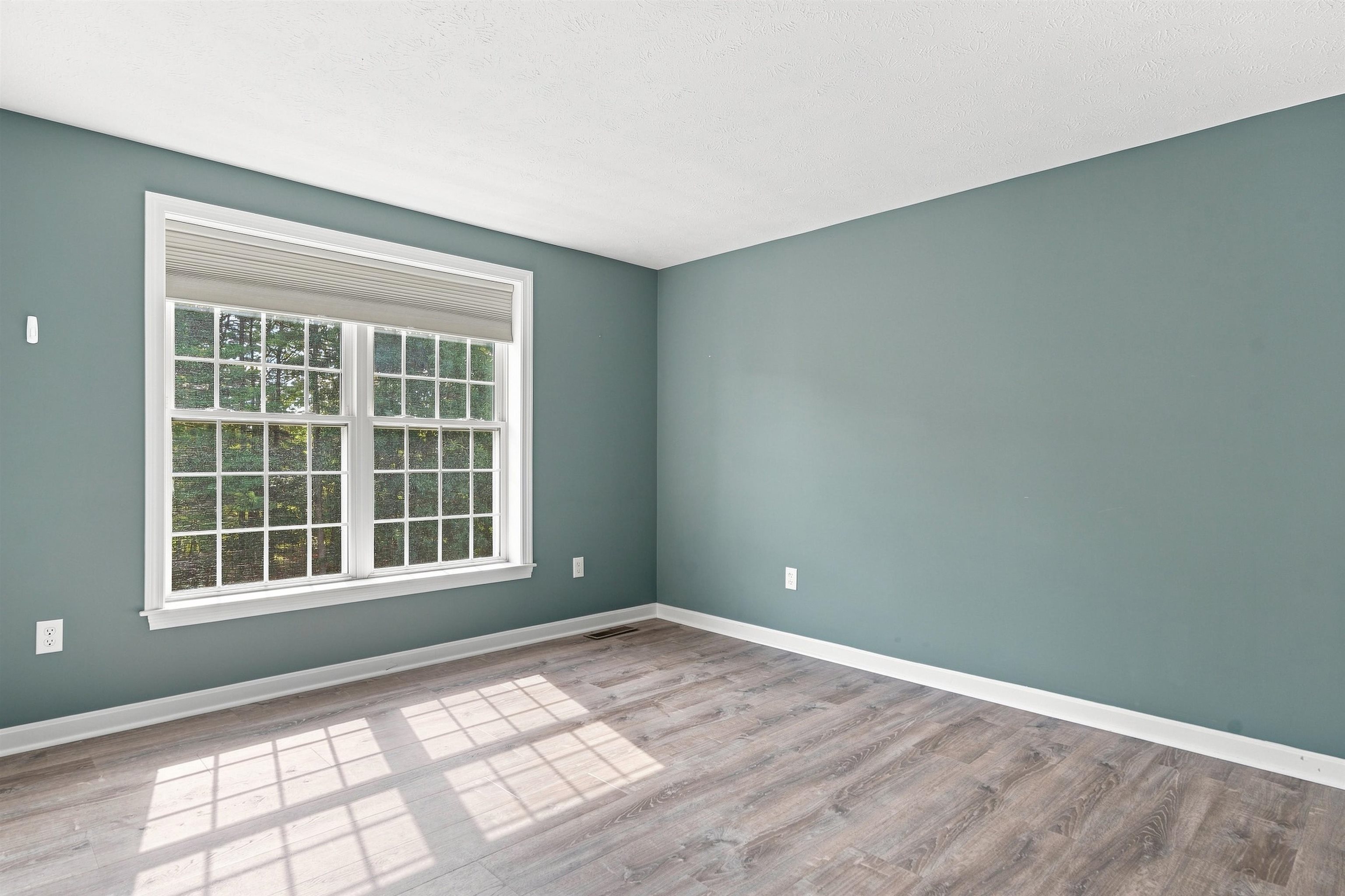 47 Mulberry Street Property Photo 28