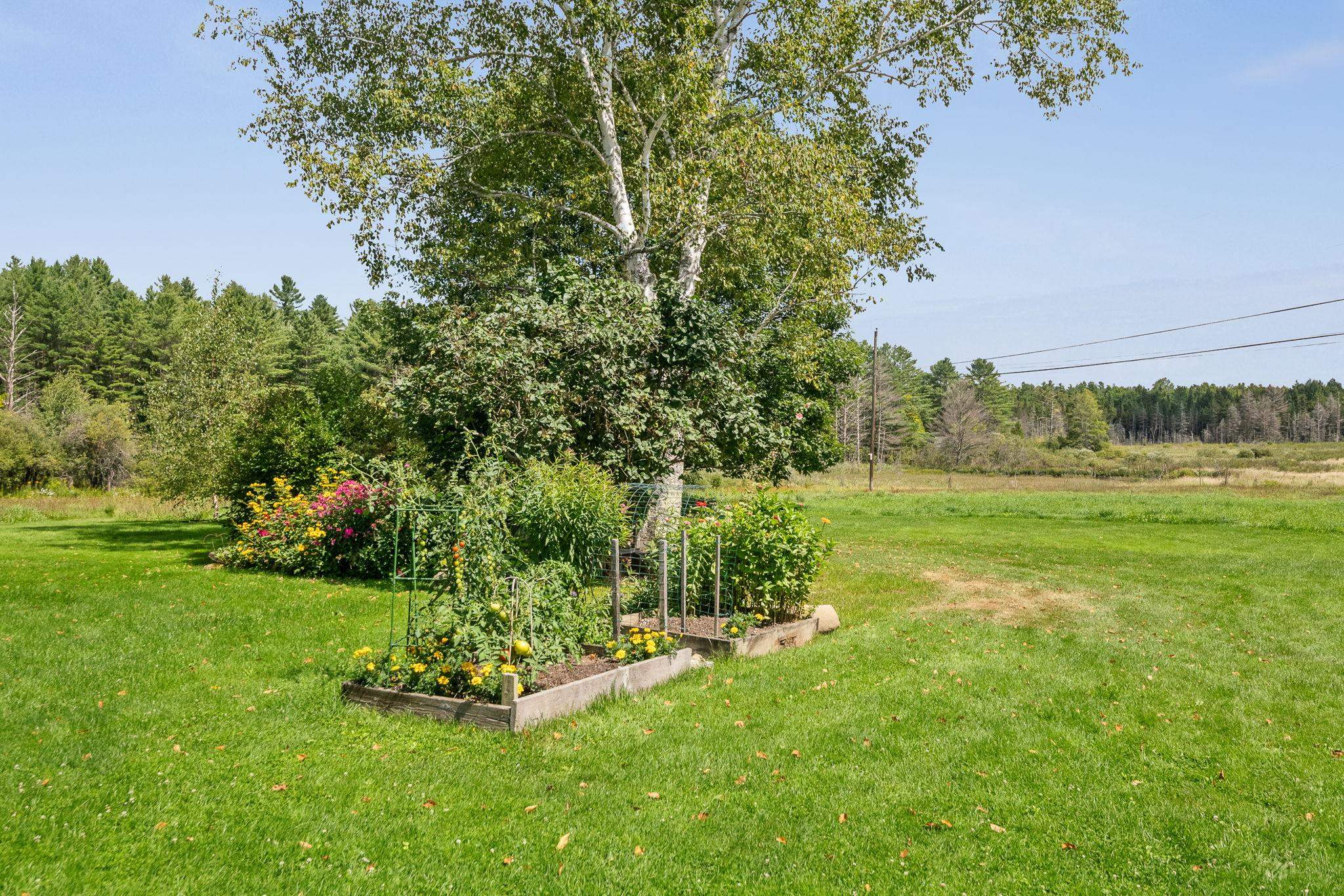4288 County Road Property Photo 55