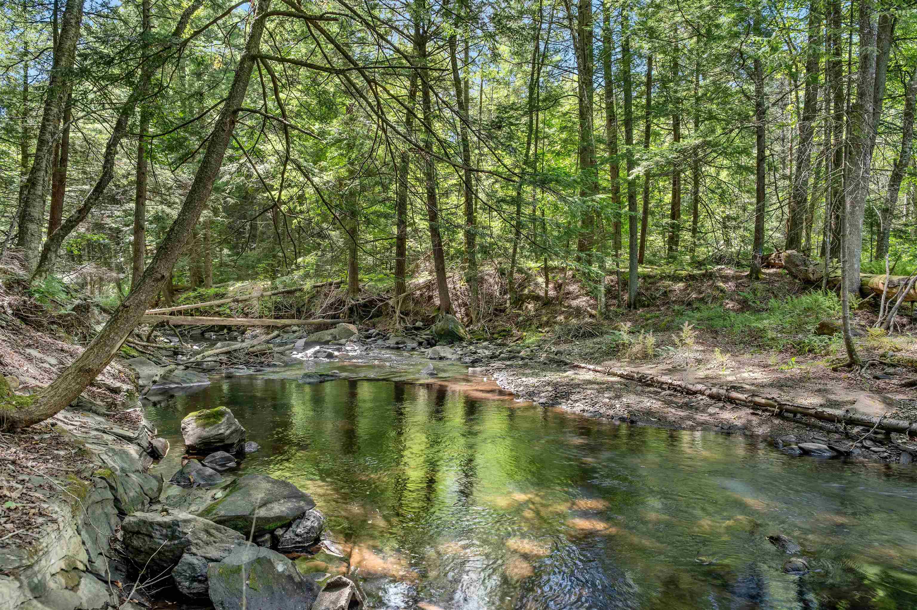 4475 Vt Route 14 Property Photo 52
