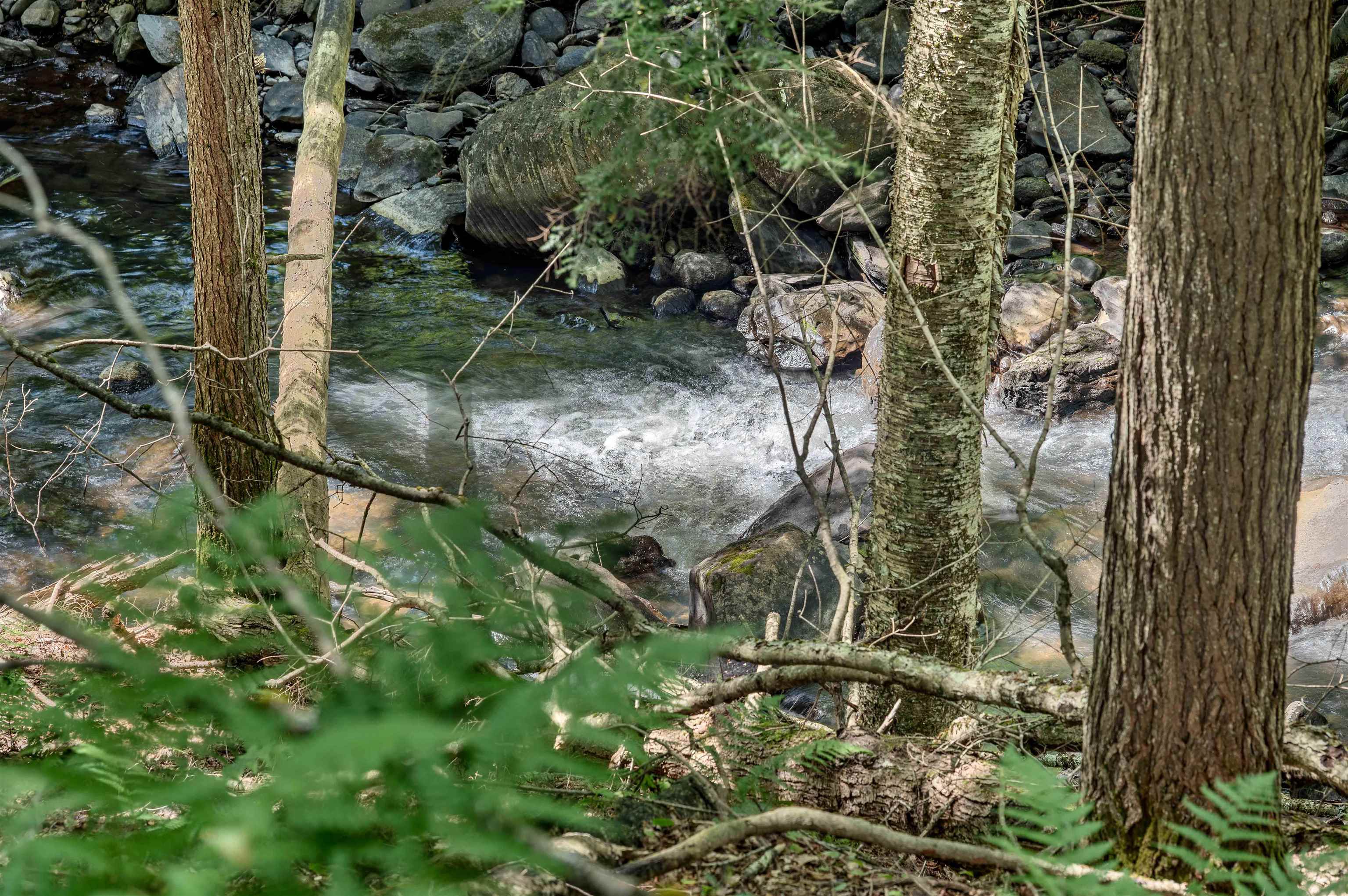 4475 Vt Route 14 Property Photo 53