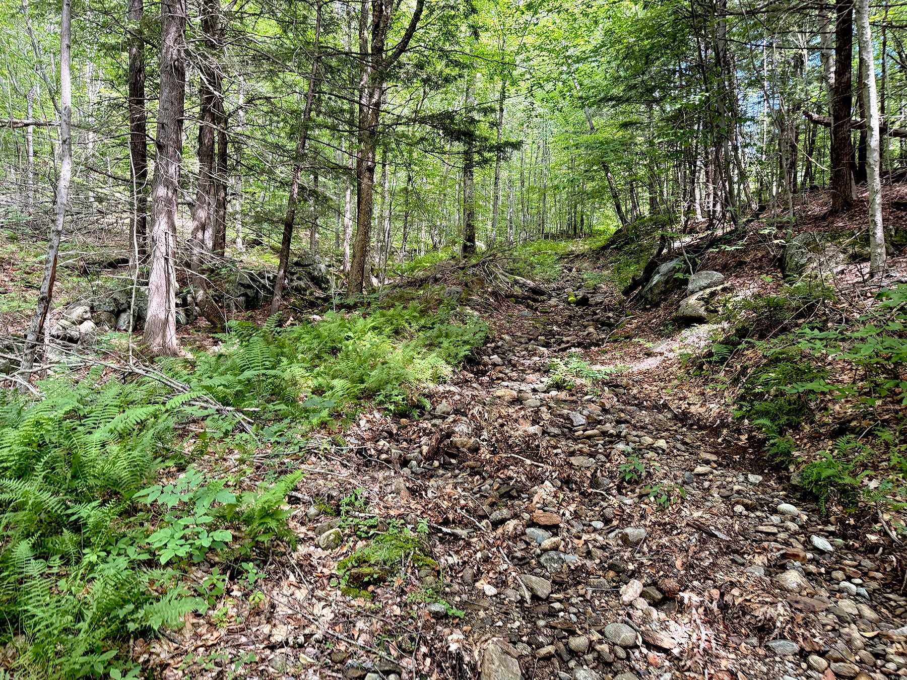 Poor Farm Road Property Photo 6