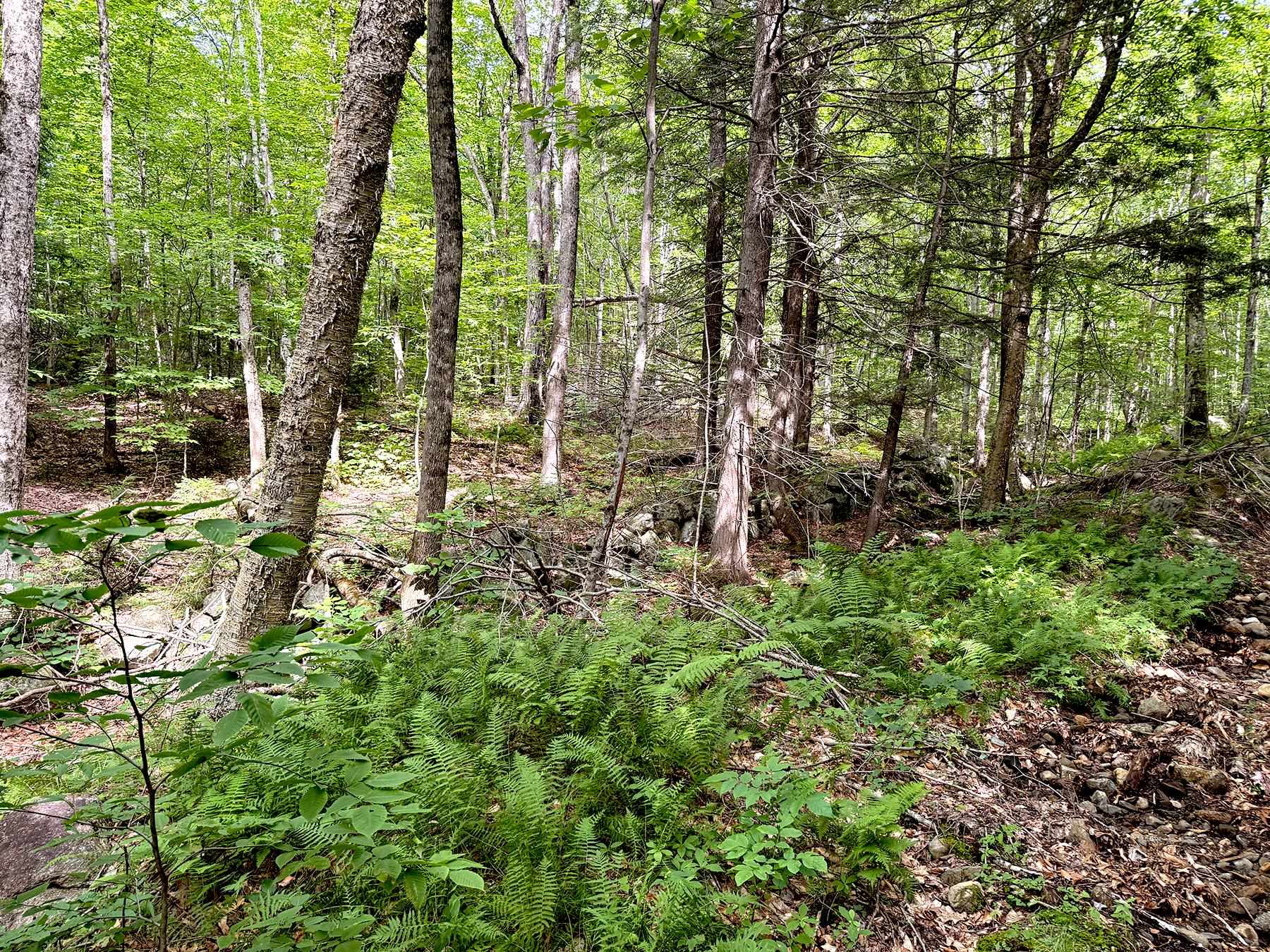 Poor Farm Road Property Photo 7