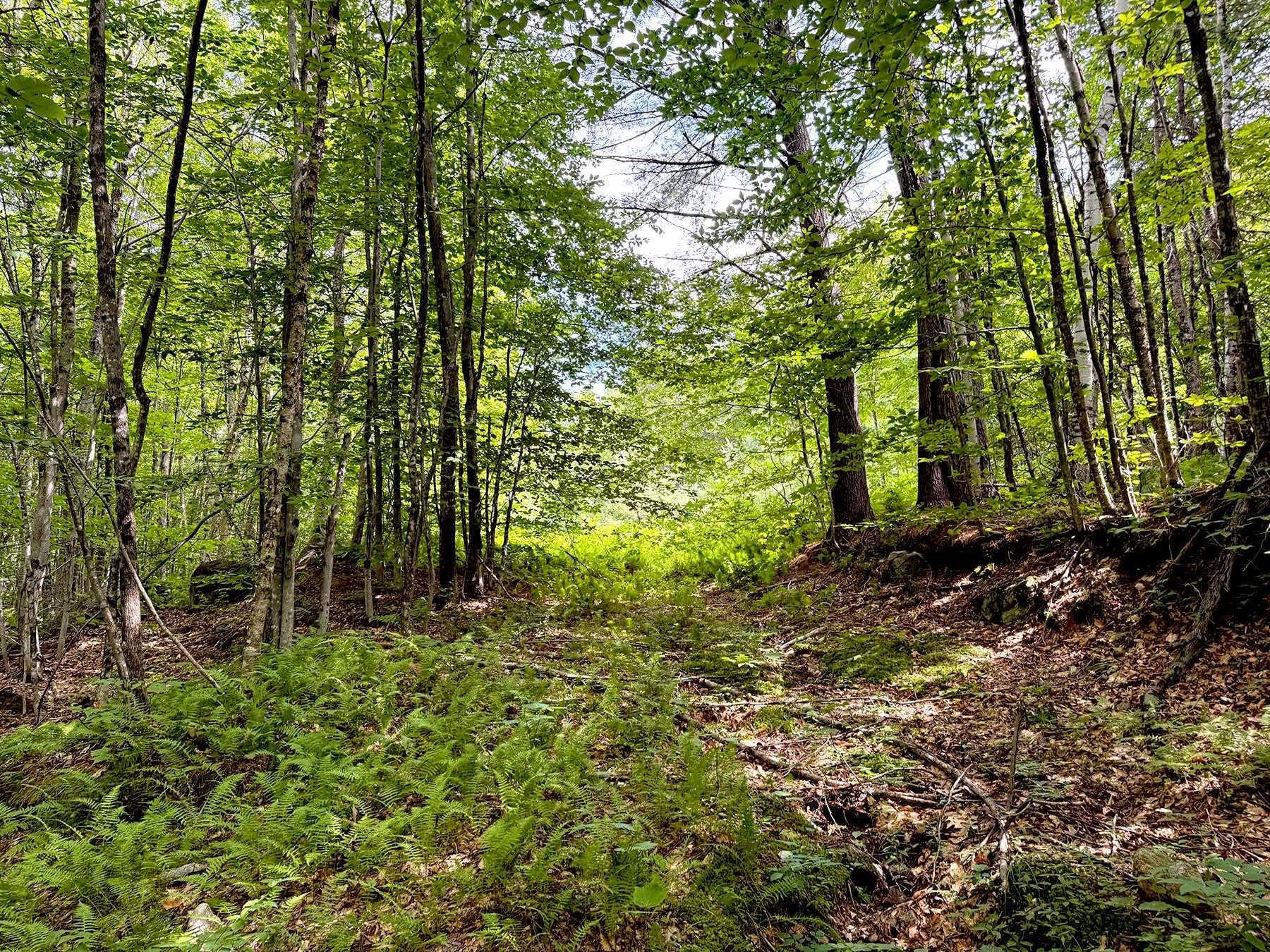 Poor Farm Road Property Photo 8