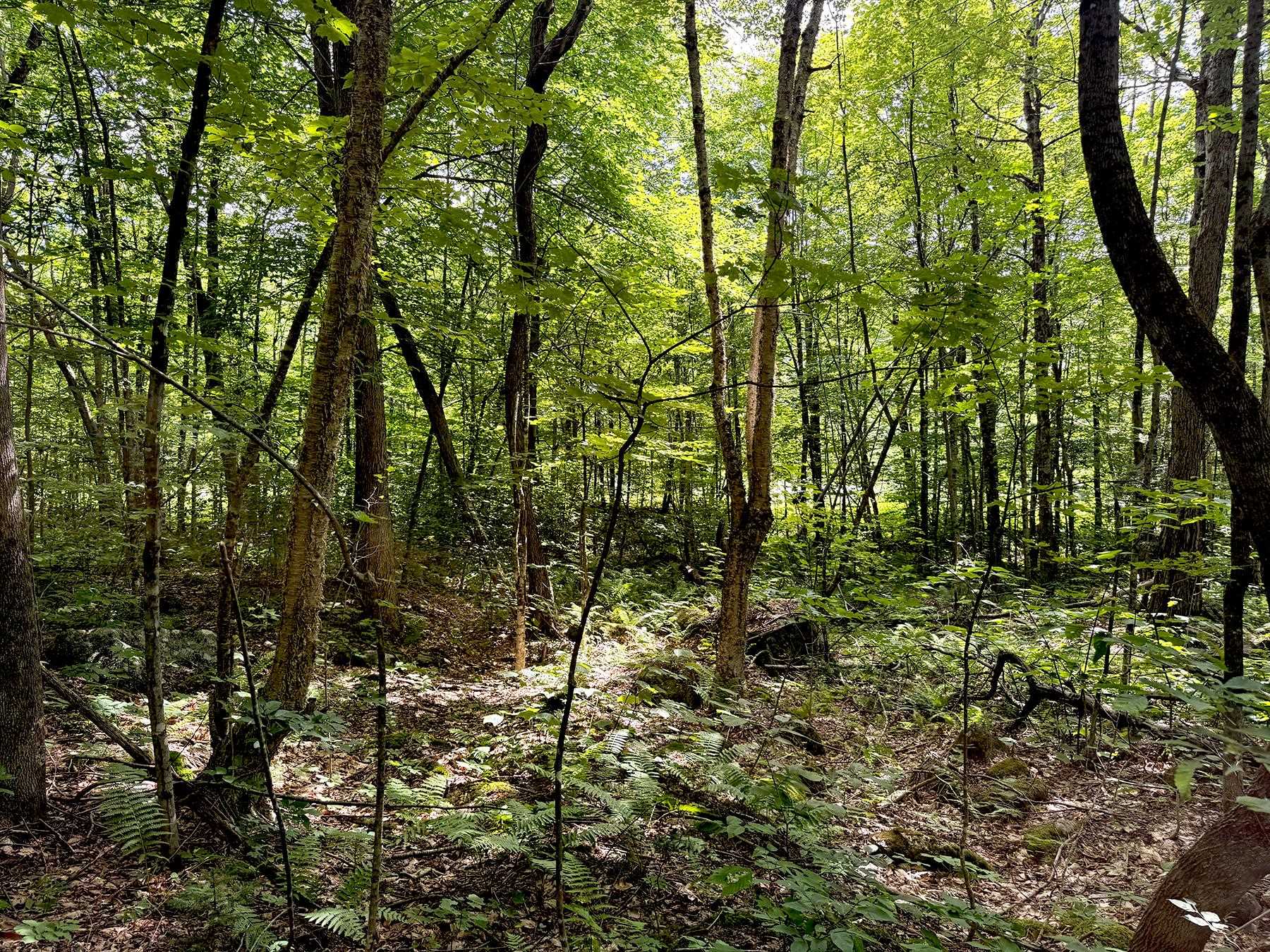 Poor Farm Road Property Photo 10