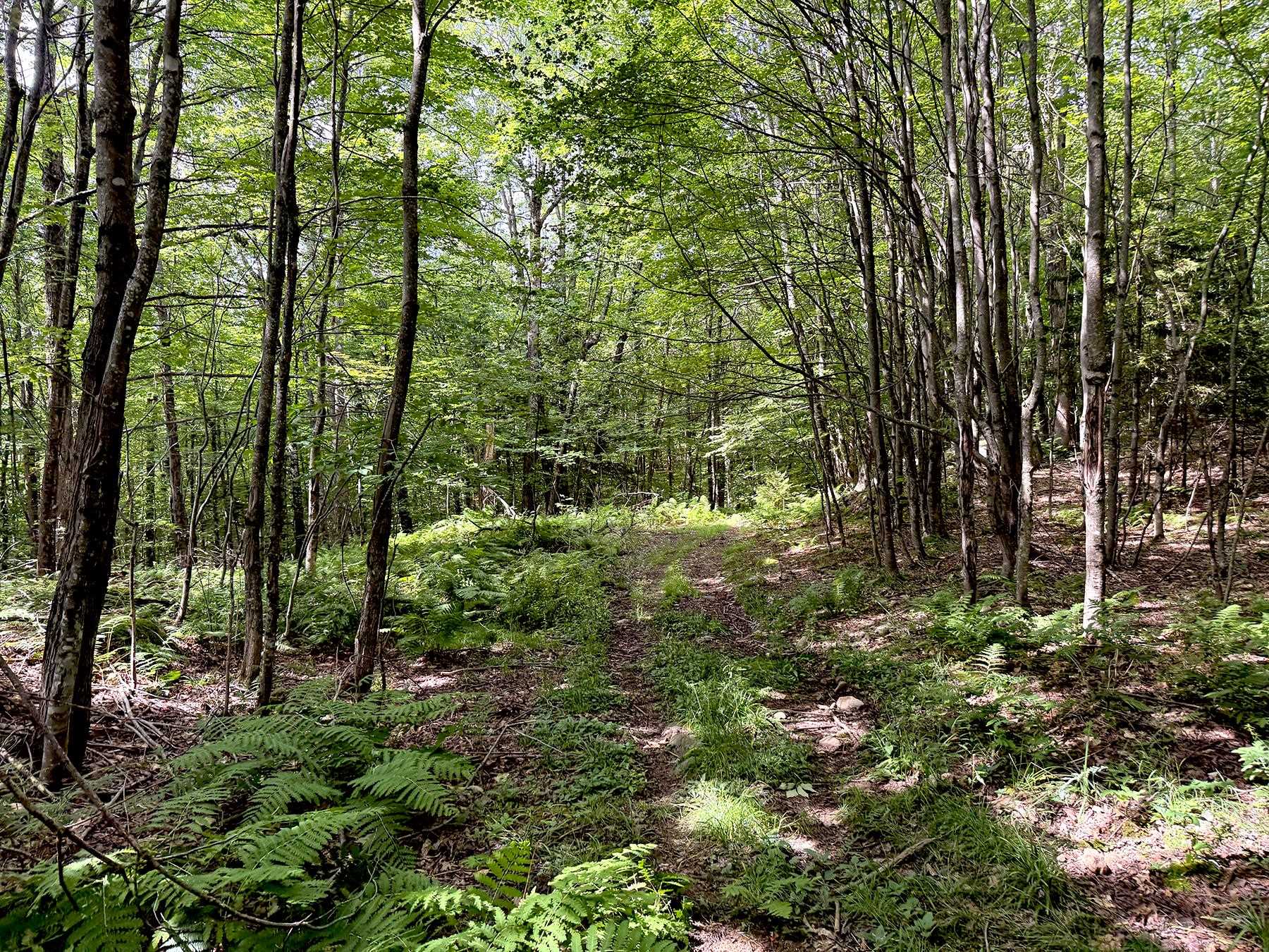 Poor Farm Road Property Photo 14
