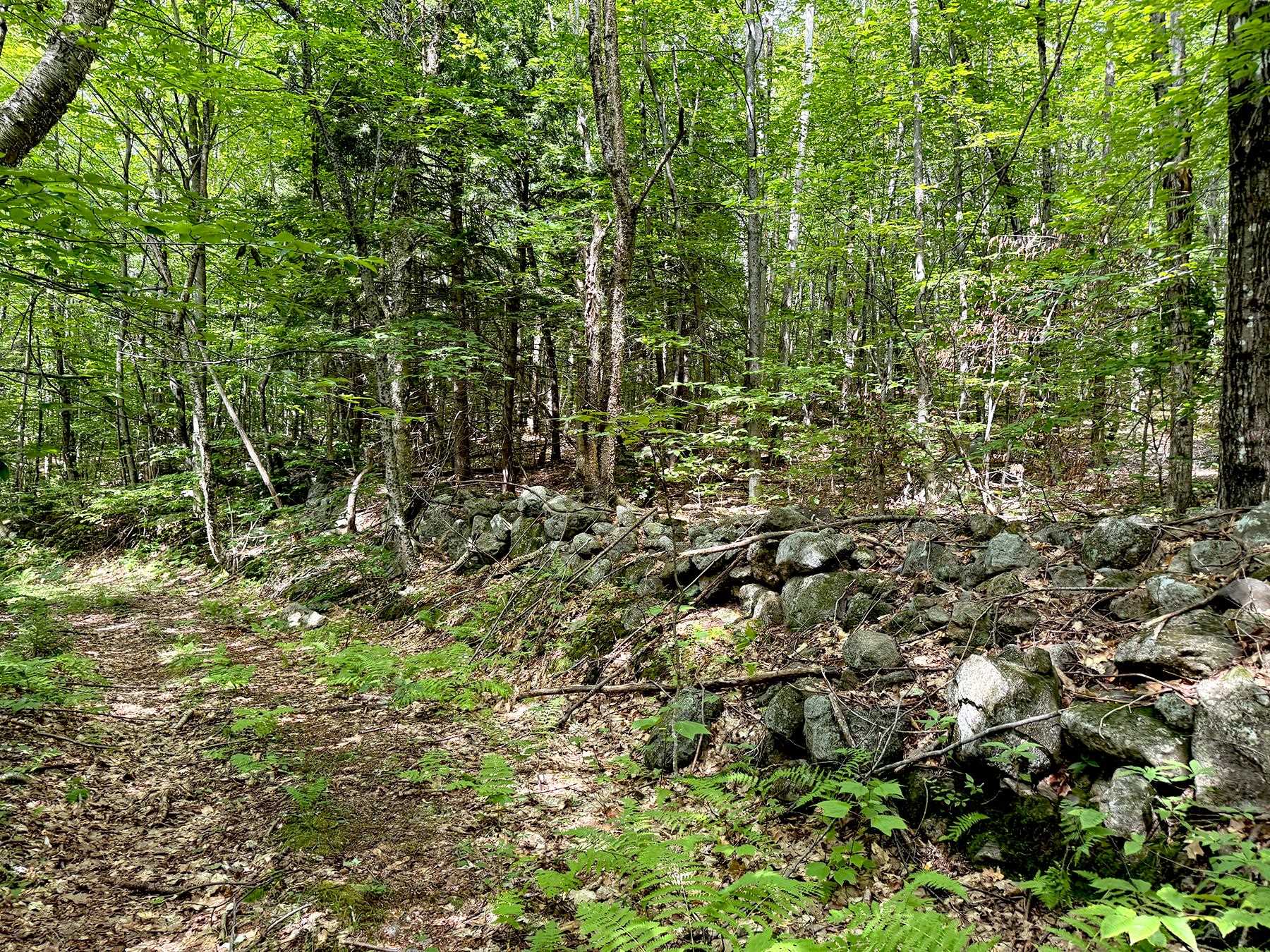 Poor Farm Road Property Photo 15