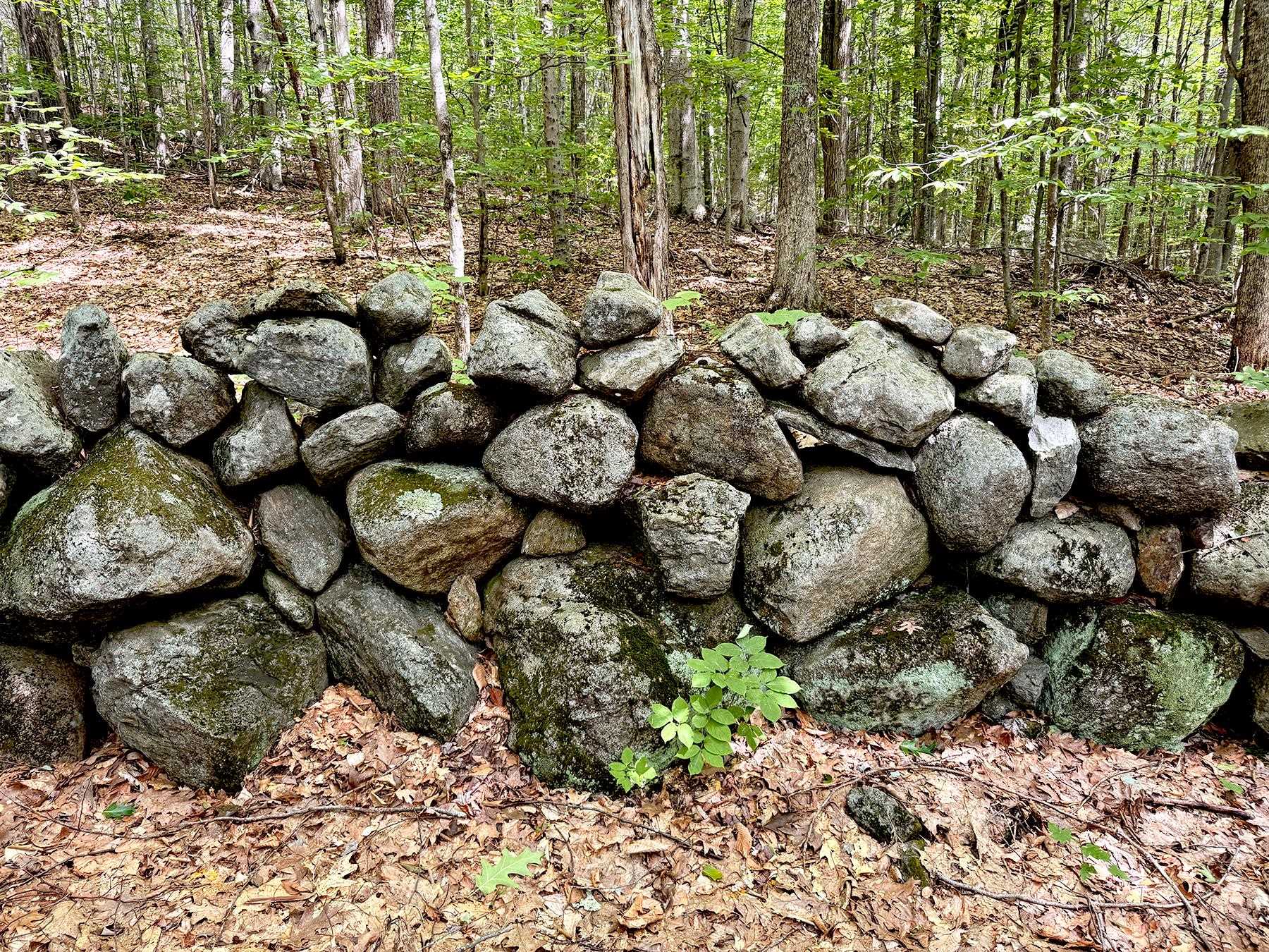 Poor Farm Road Property Photo 20