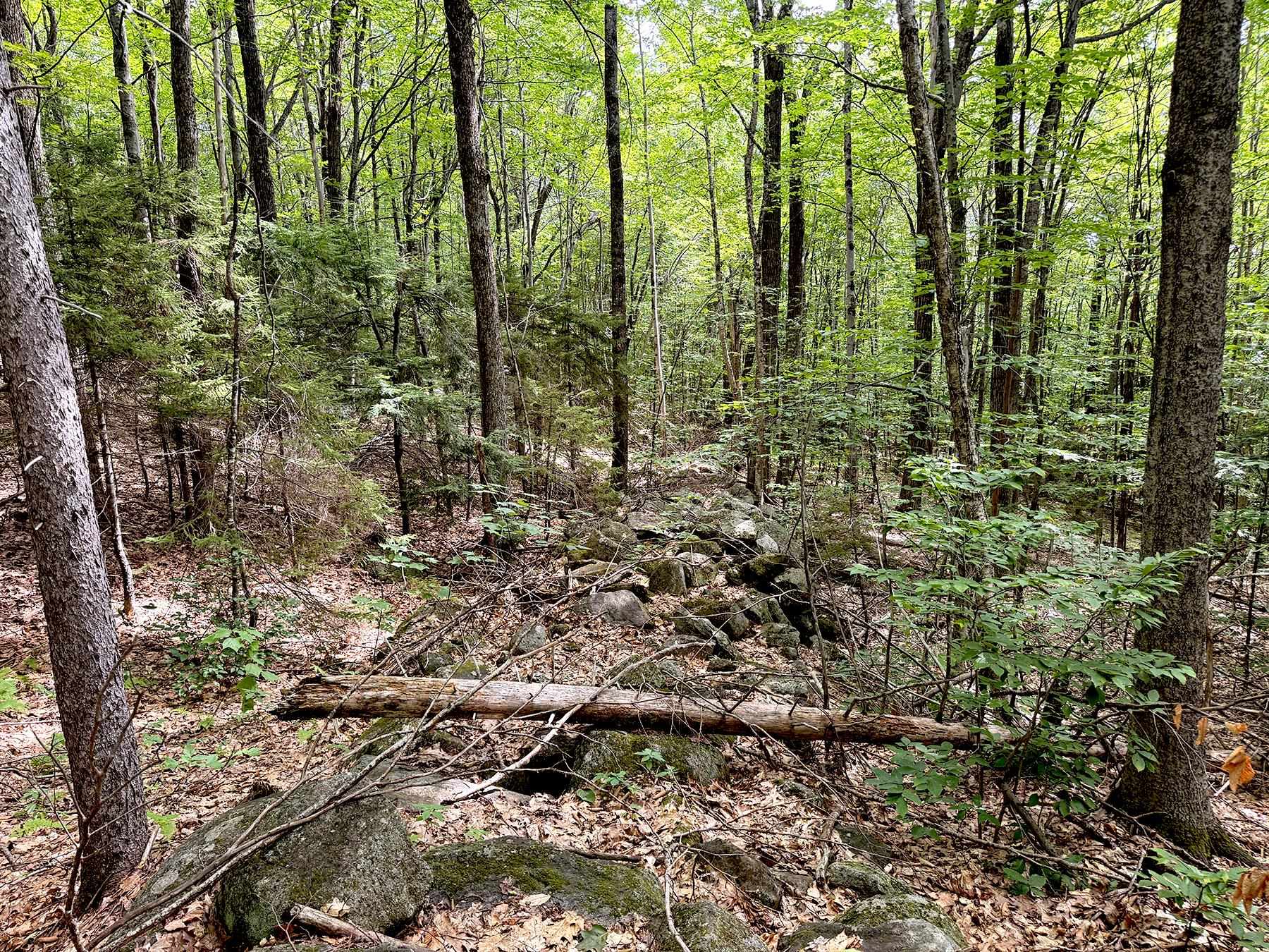 Poor Farm Road Property Photo 22