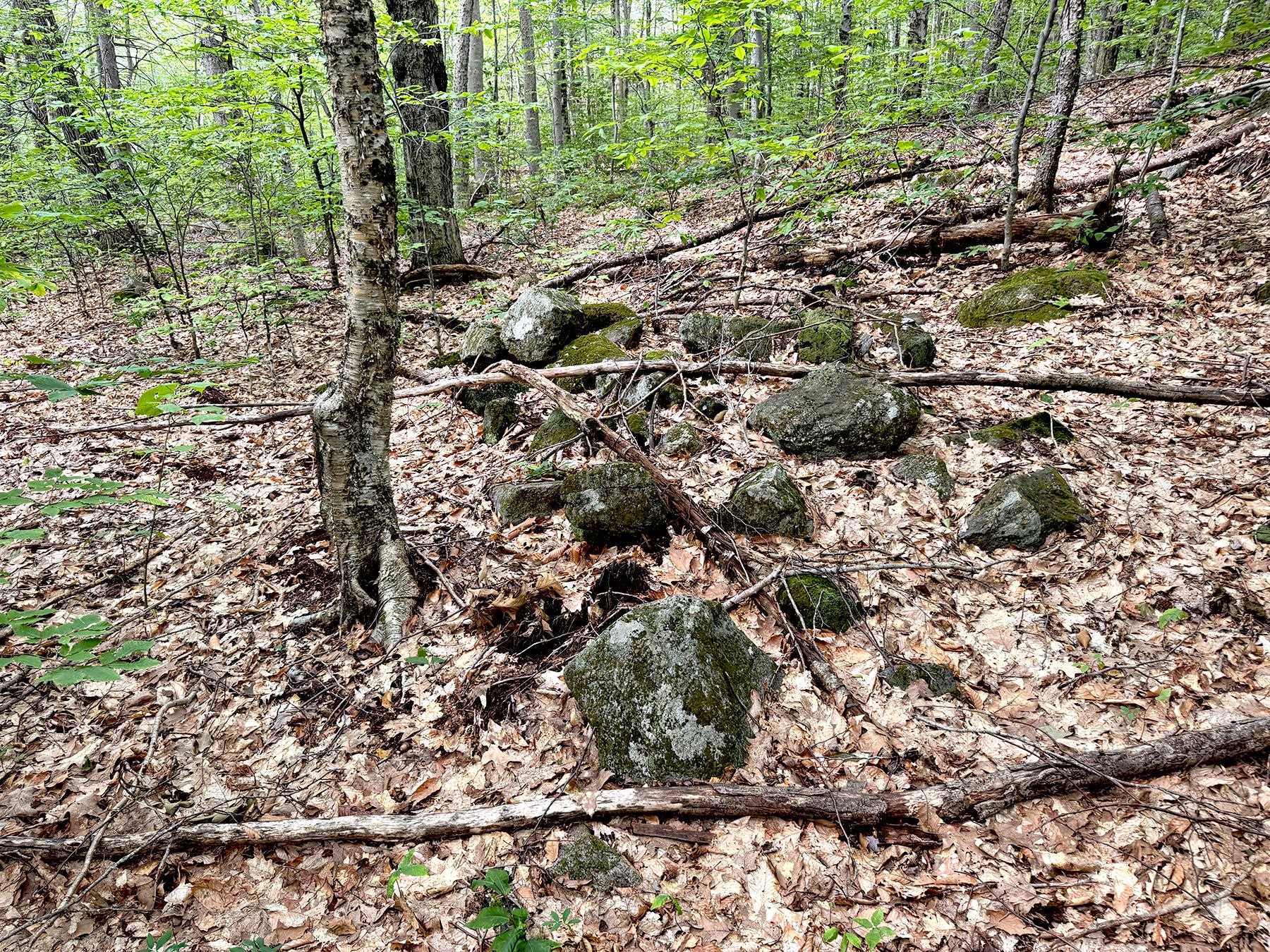 Poor Farm Road Property Photo 26