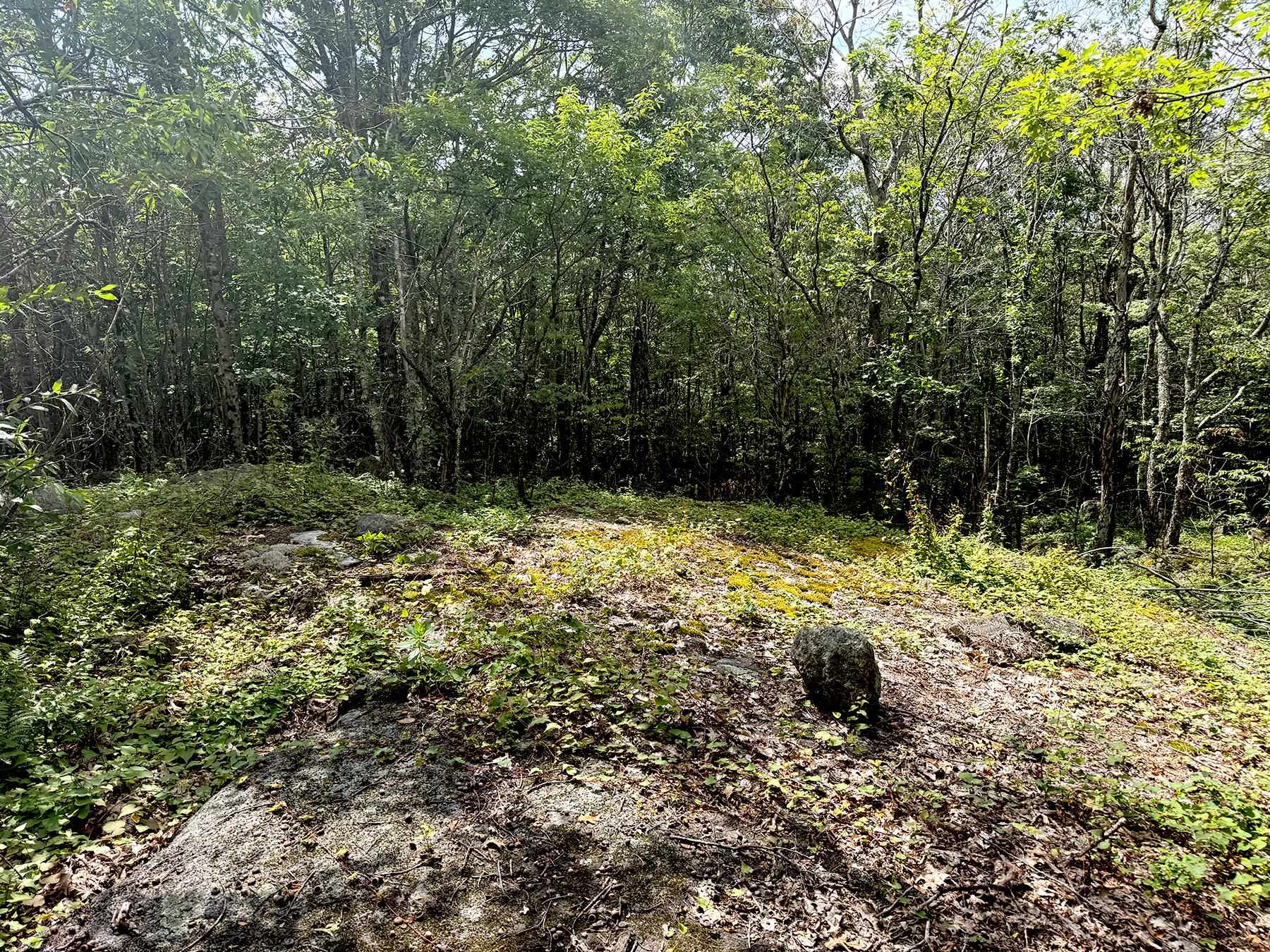 Poor Farm Road Property Photo 27