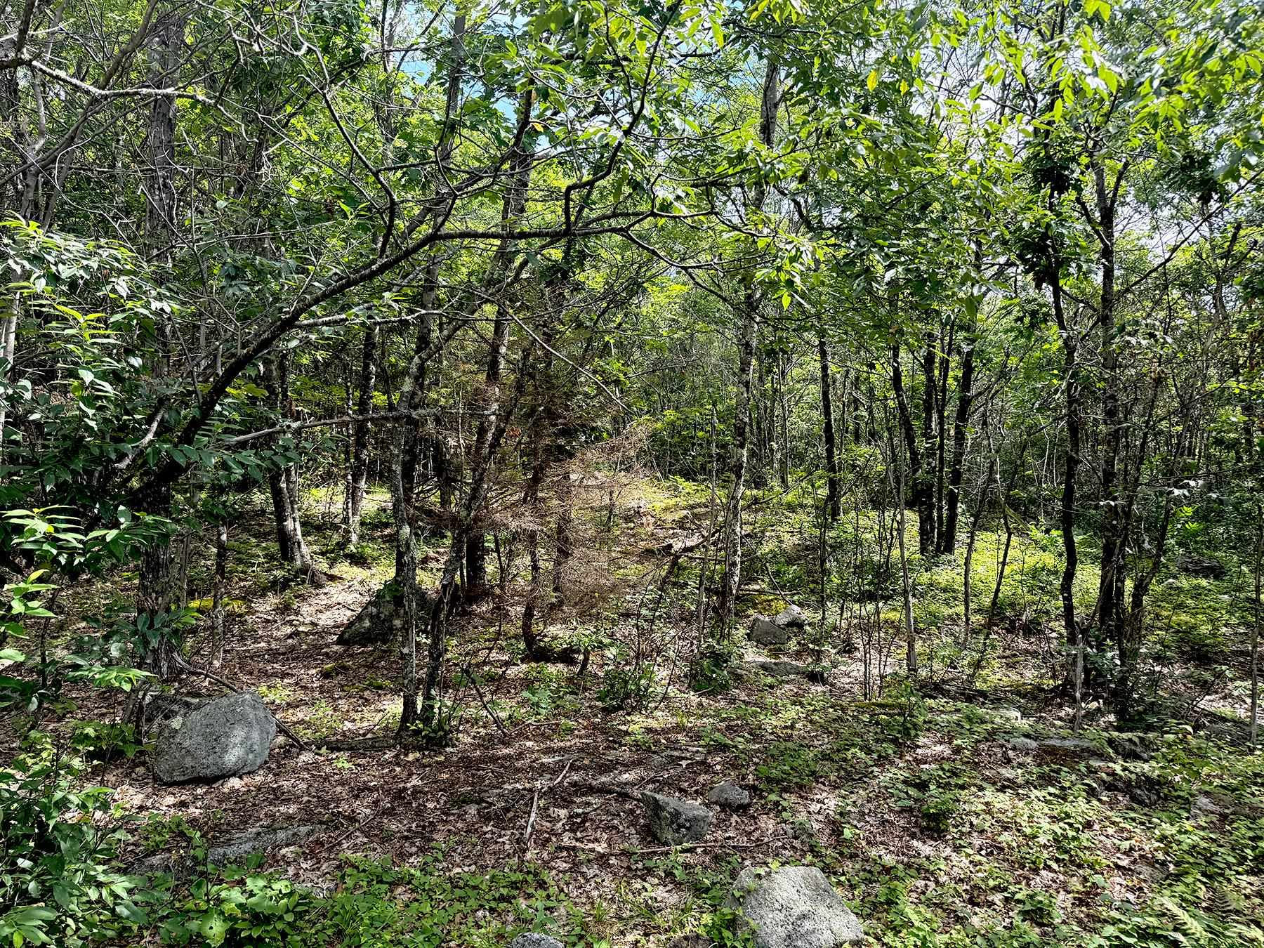 Poor Farm Road Property Photo 28