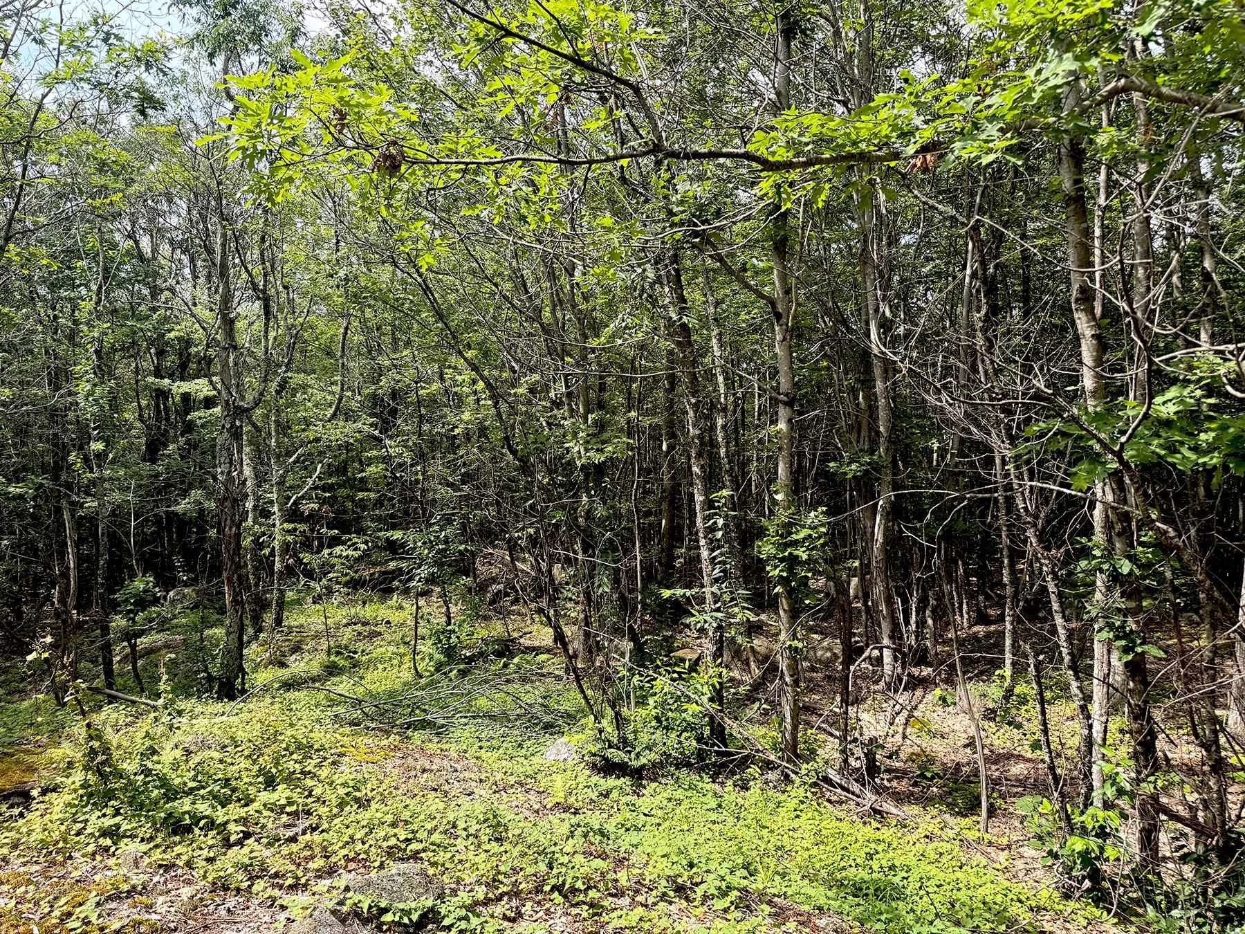 Poor Farm Road Property Photo 29