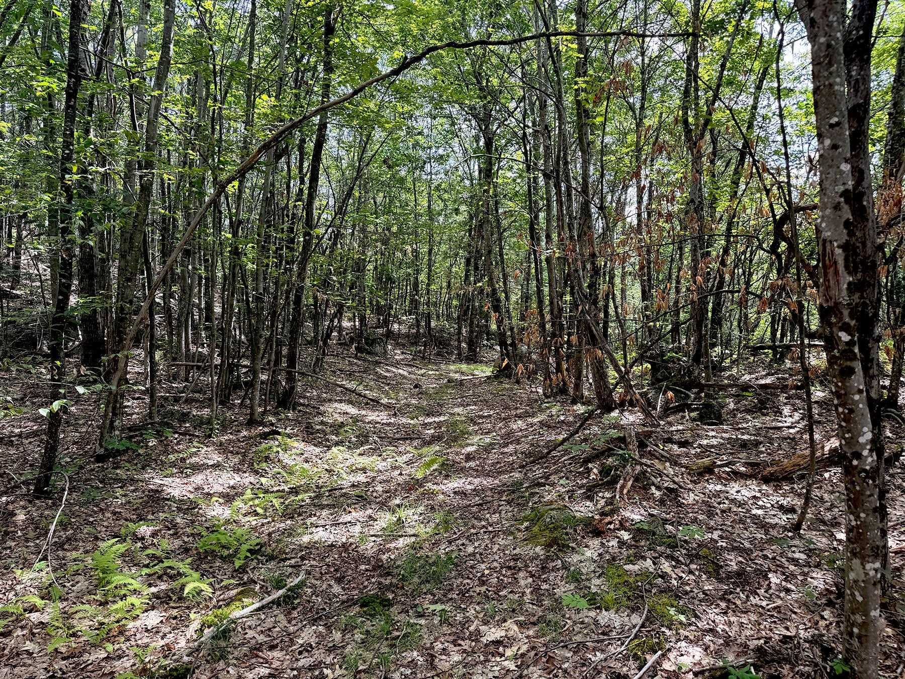 Poor Farm Road Property Photo 30
