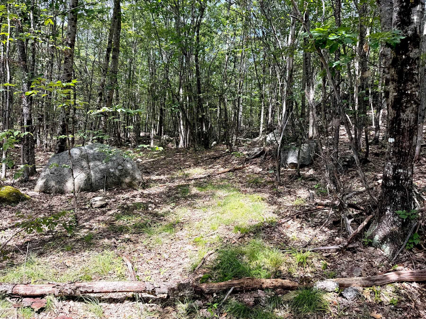 Poor Farm Road Property Photo 34