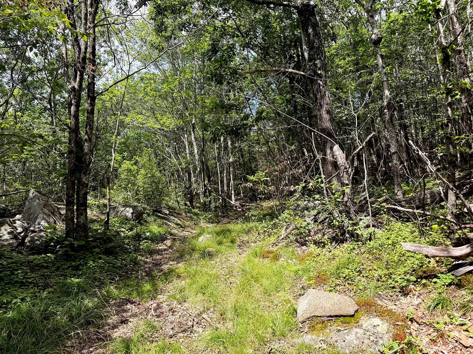 Poor Farm Road Property Photo 35
