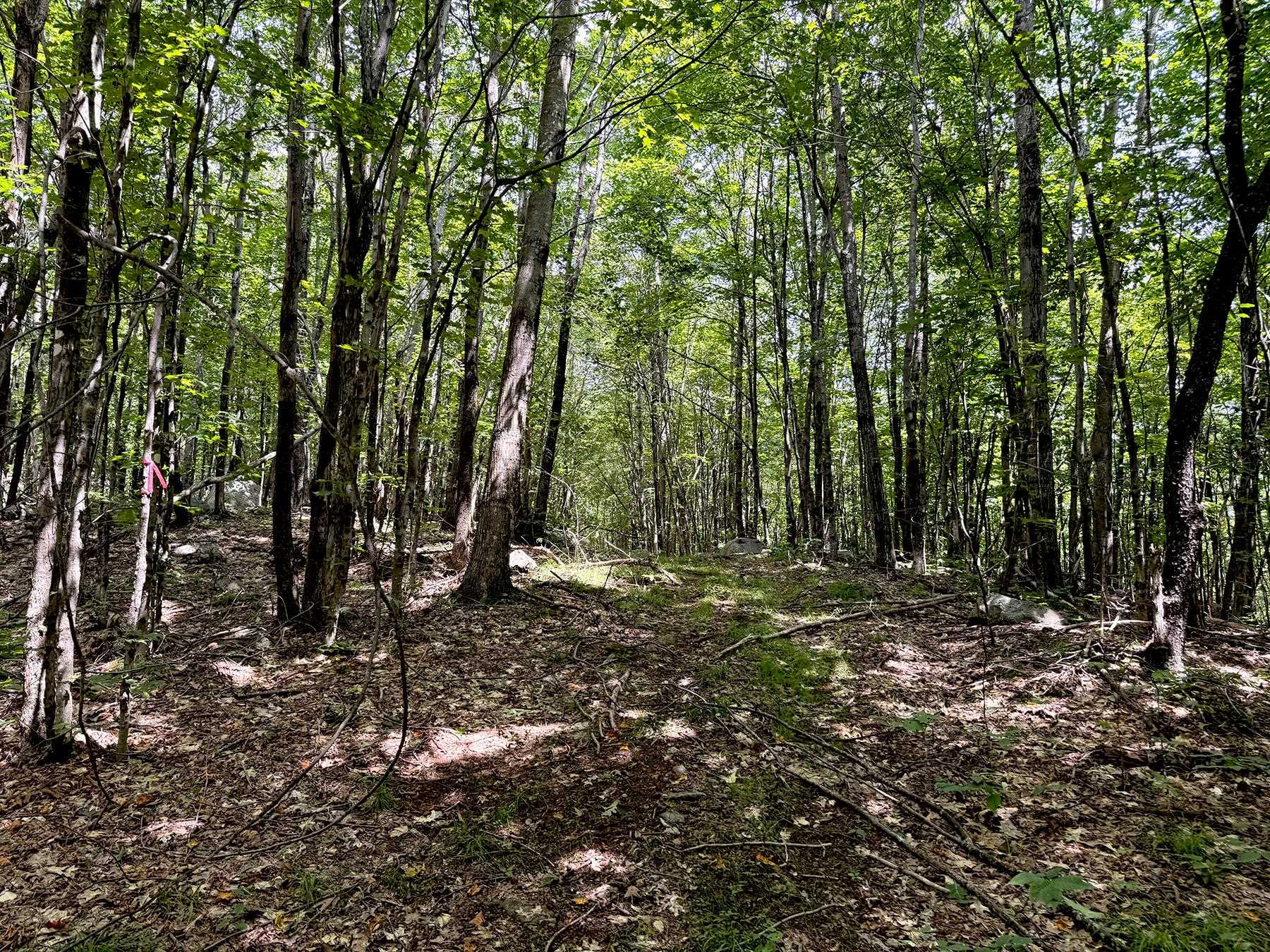 Poor Farm Road Property Photo 36