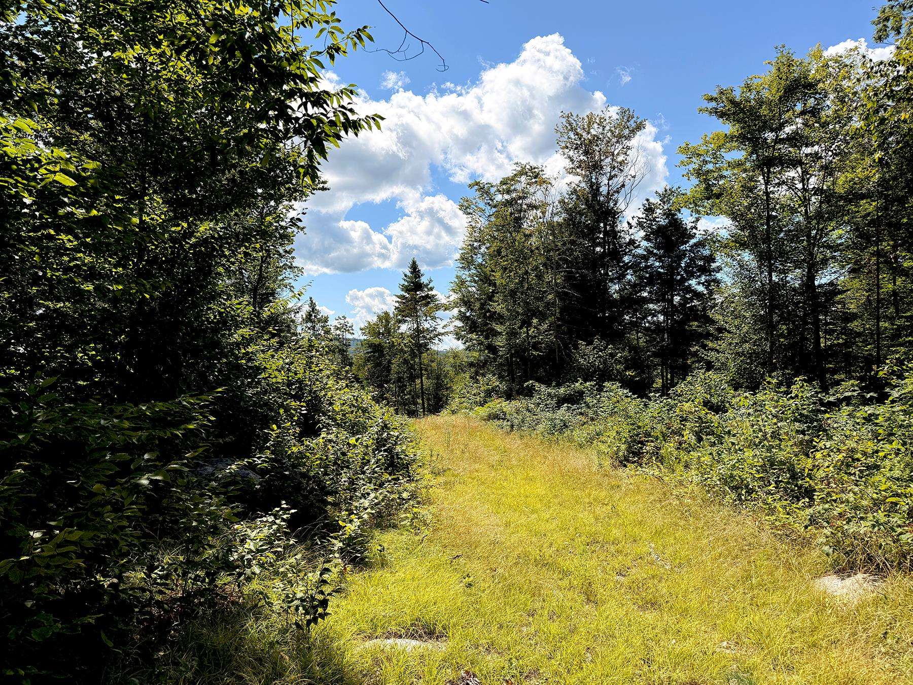 Poor Farm Road Property Photo 37
