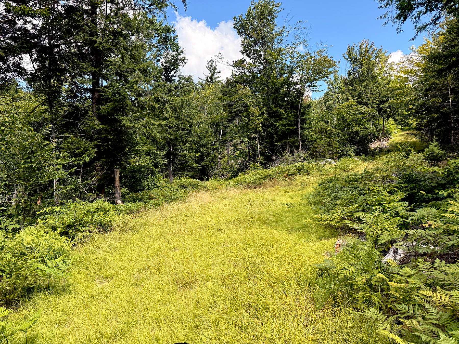 Poor Farm Road Property Photo 38
