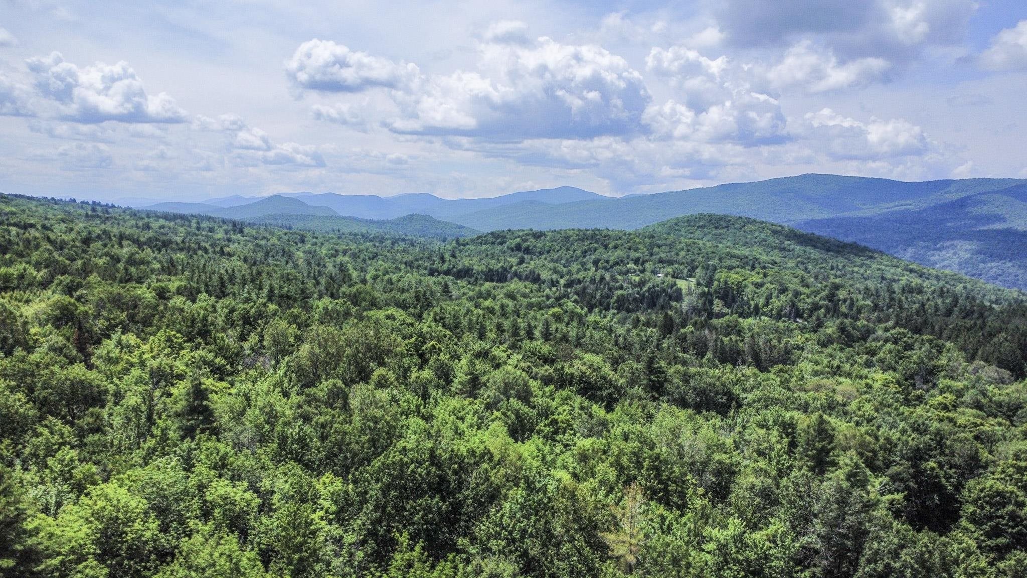 2800 North Hollow Road Property Photo 4