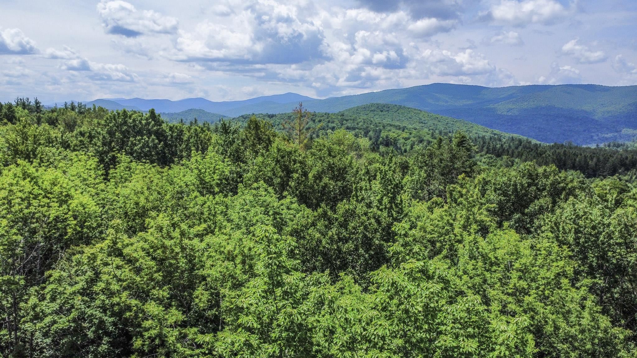 2800 North Hollow Road Property Photo 9