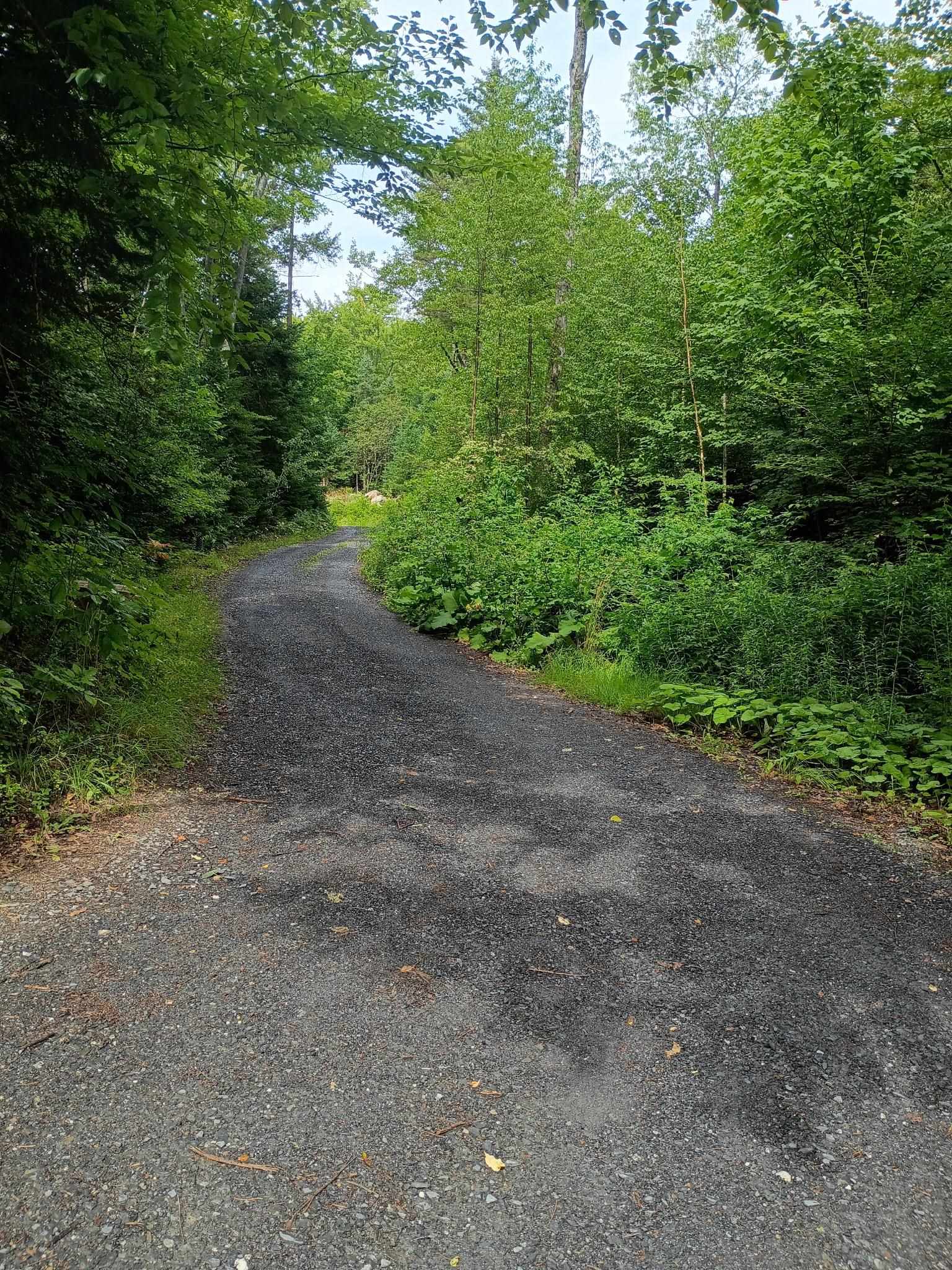 115 Smith Road Property Photo 20
