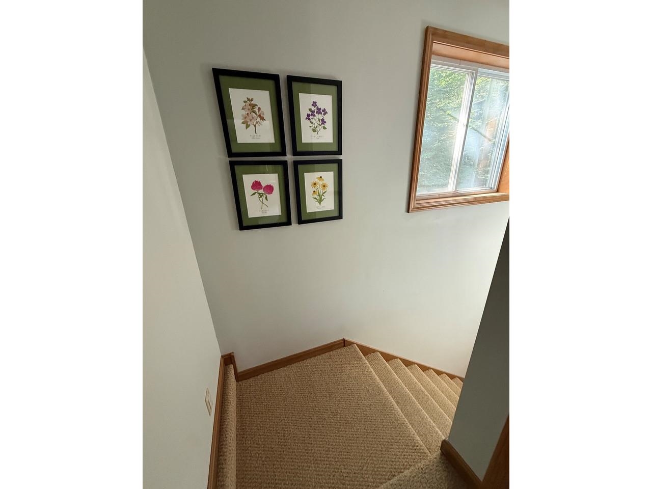 70 Tamarack Street Property Photo 13