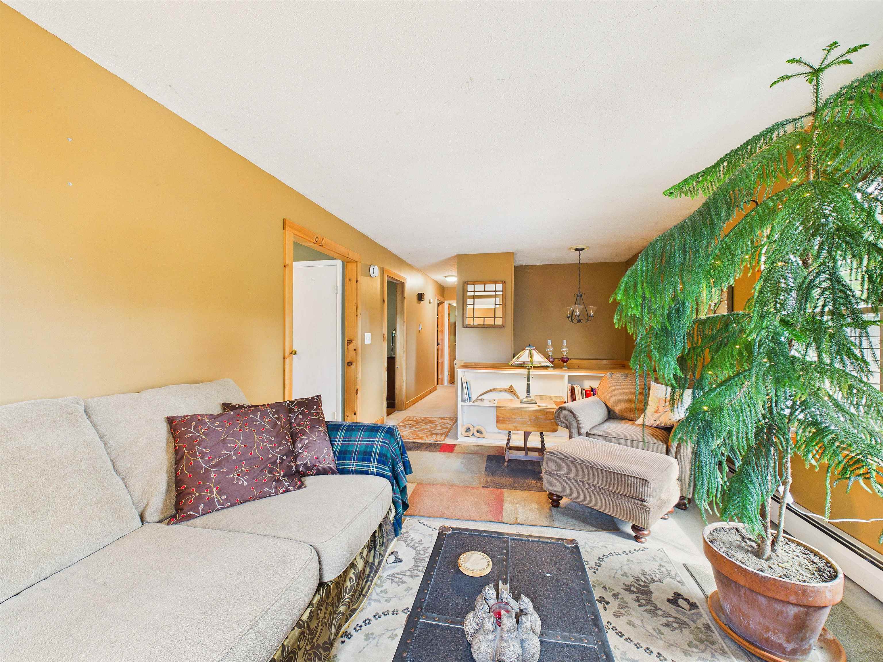 4 Newport Drive Property Photo 7