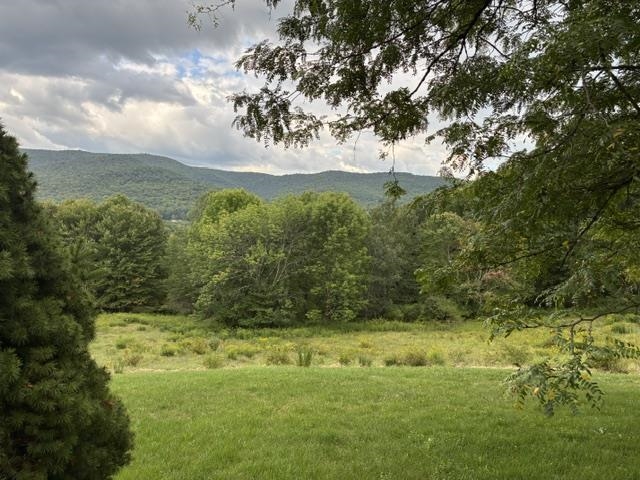 735 Granger Hollow Road Property Photo 5