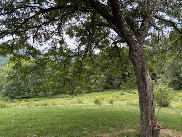 735 Granger Hollow Road Property Photo 6