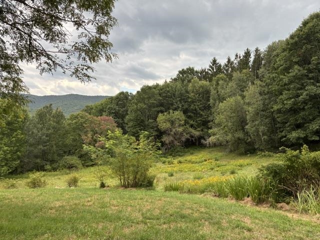 735 Granger Hollow Road Property Photo 46