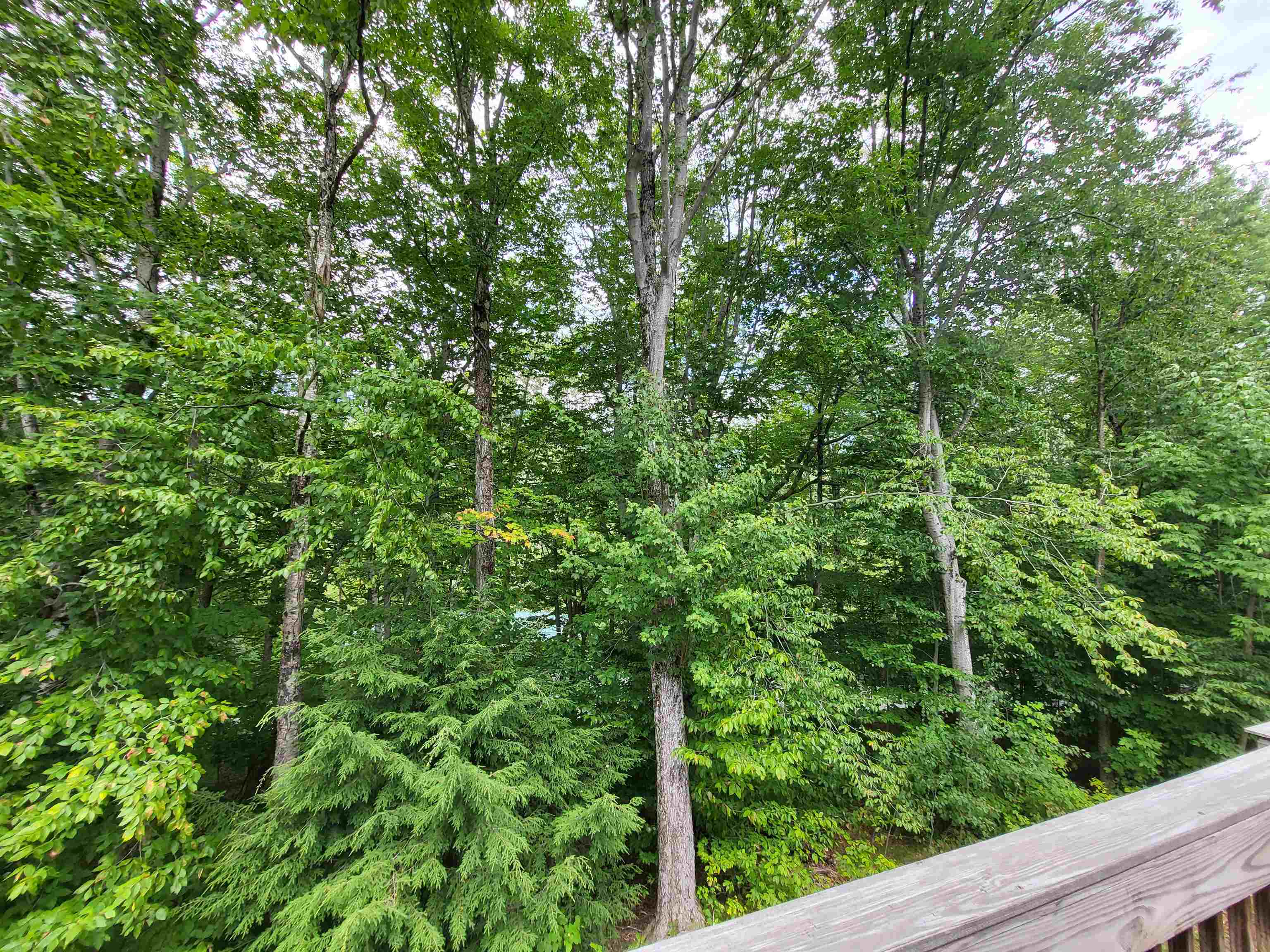 12 Kernwood Drive Property Photo 3