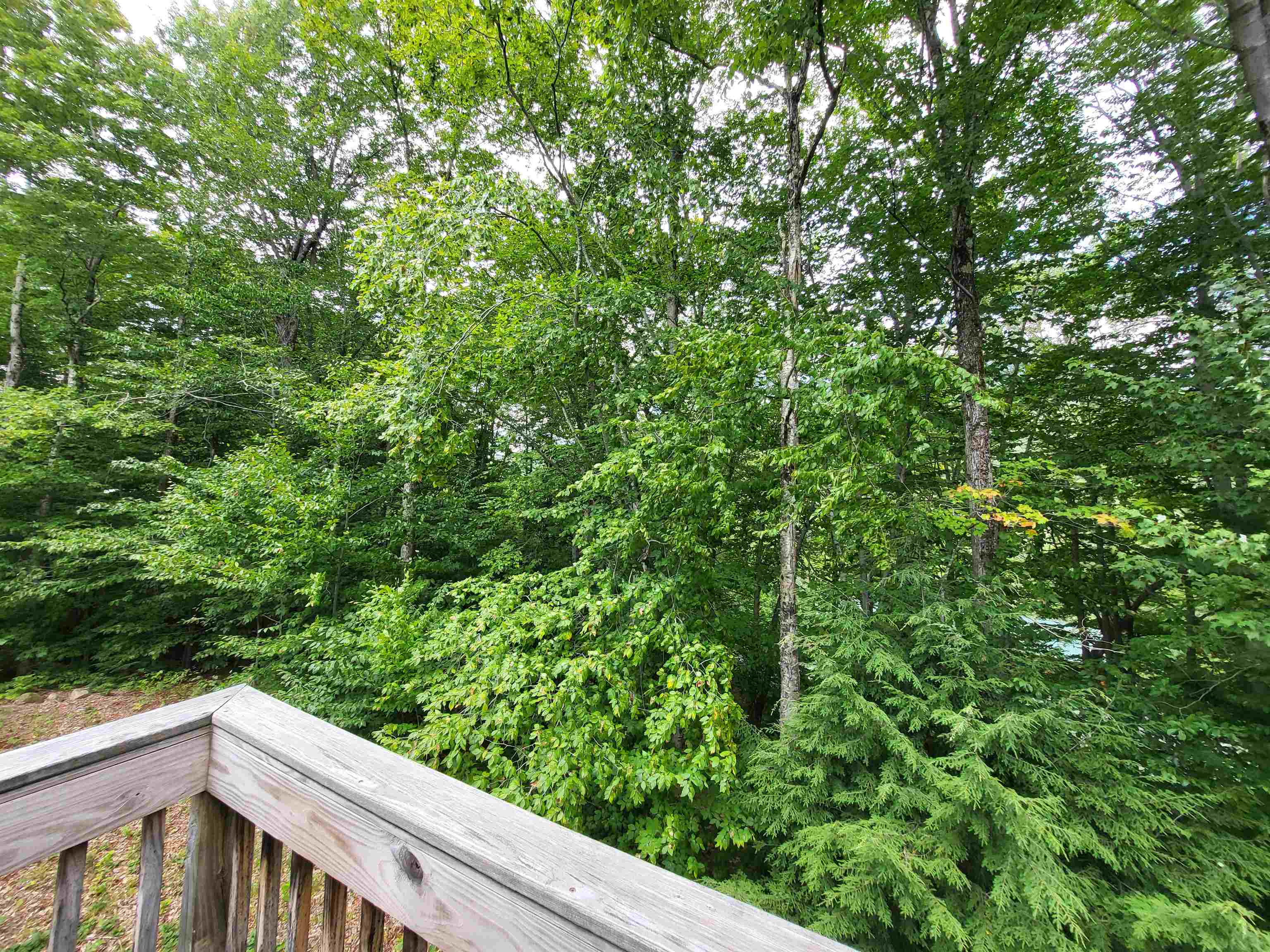 12 Kernwood Drive Property Photo 4