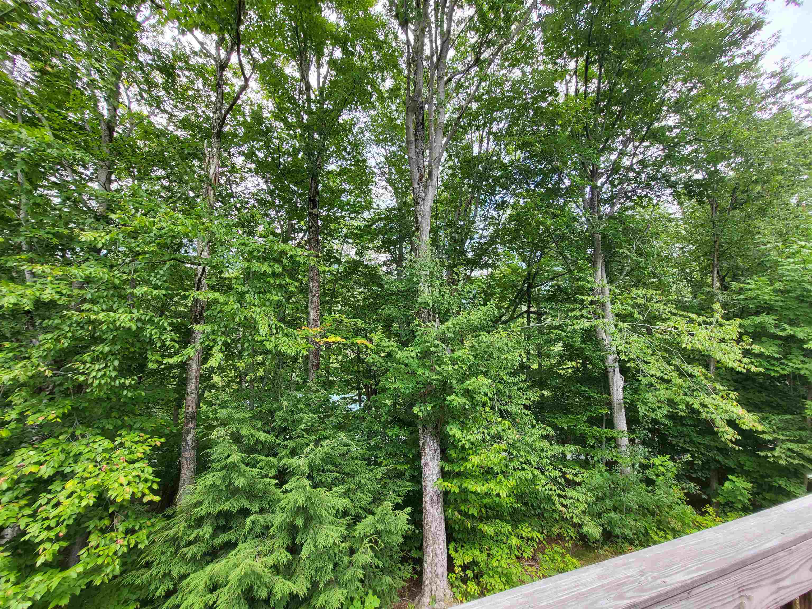 12 Kernwood Drive Property Photo 30