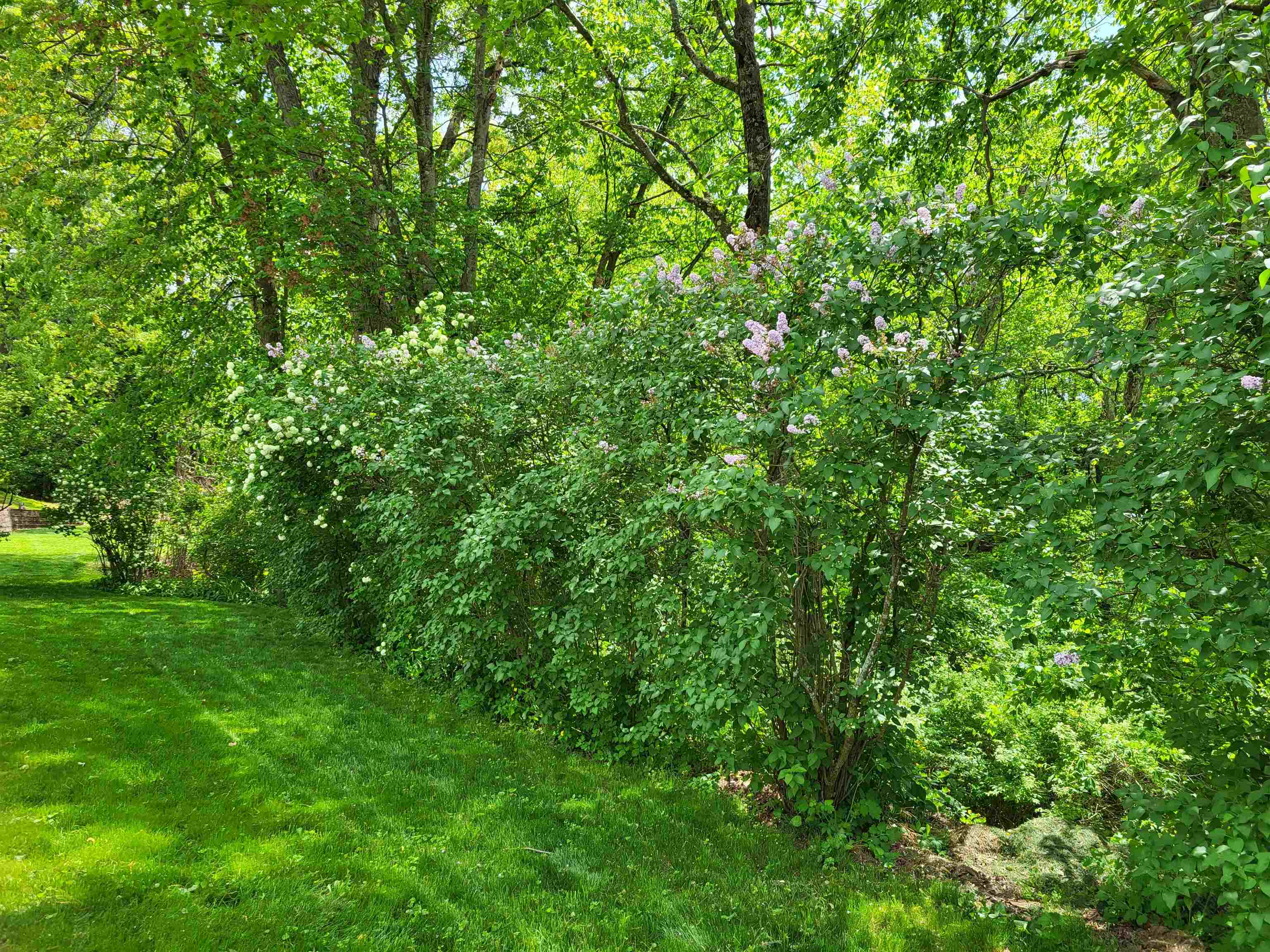 9 Roby Street Property Photo 44