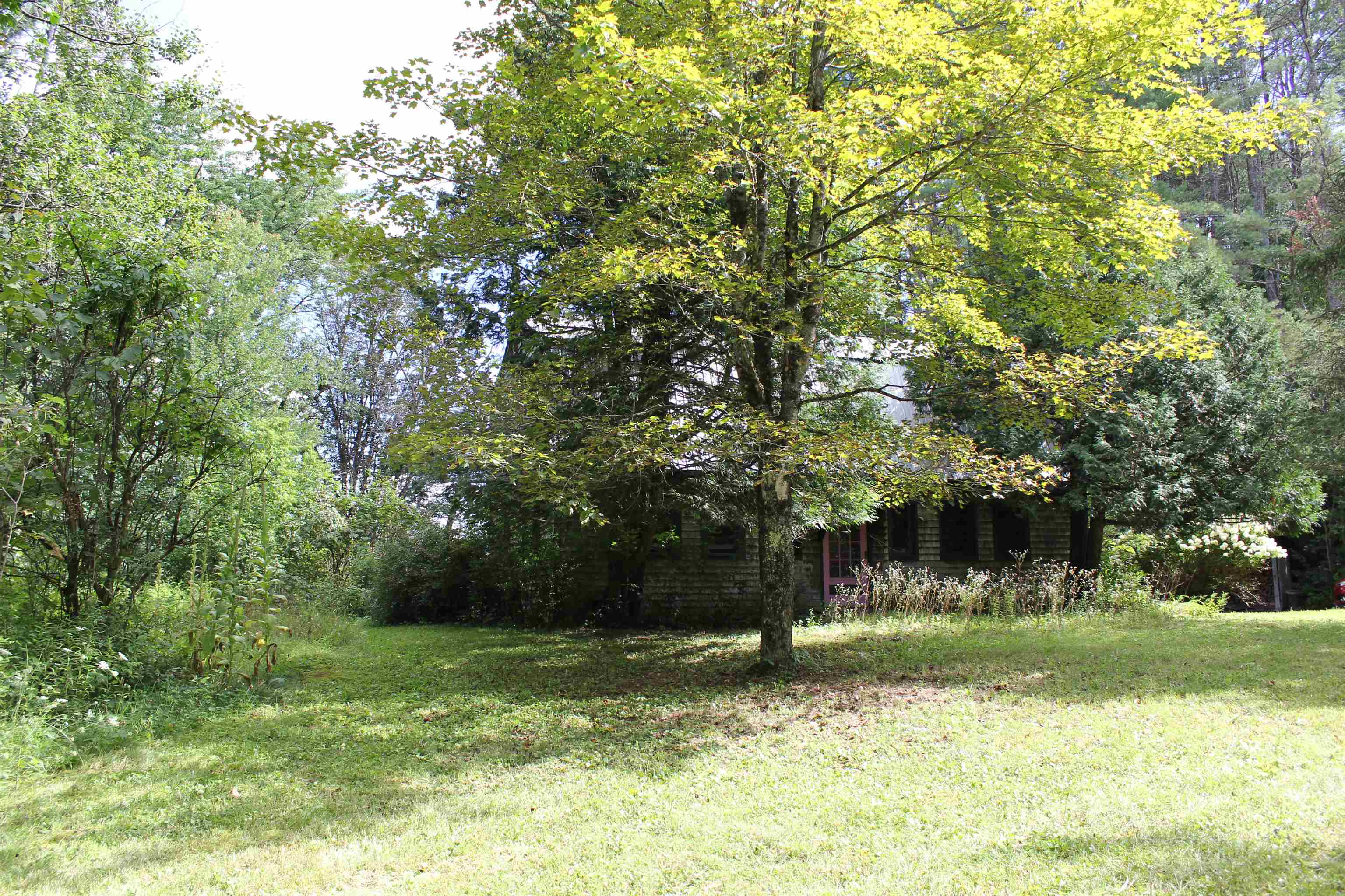 1049 Barker Road Property Photo 6